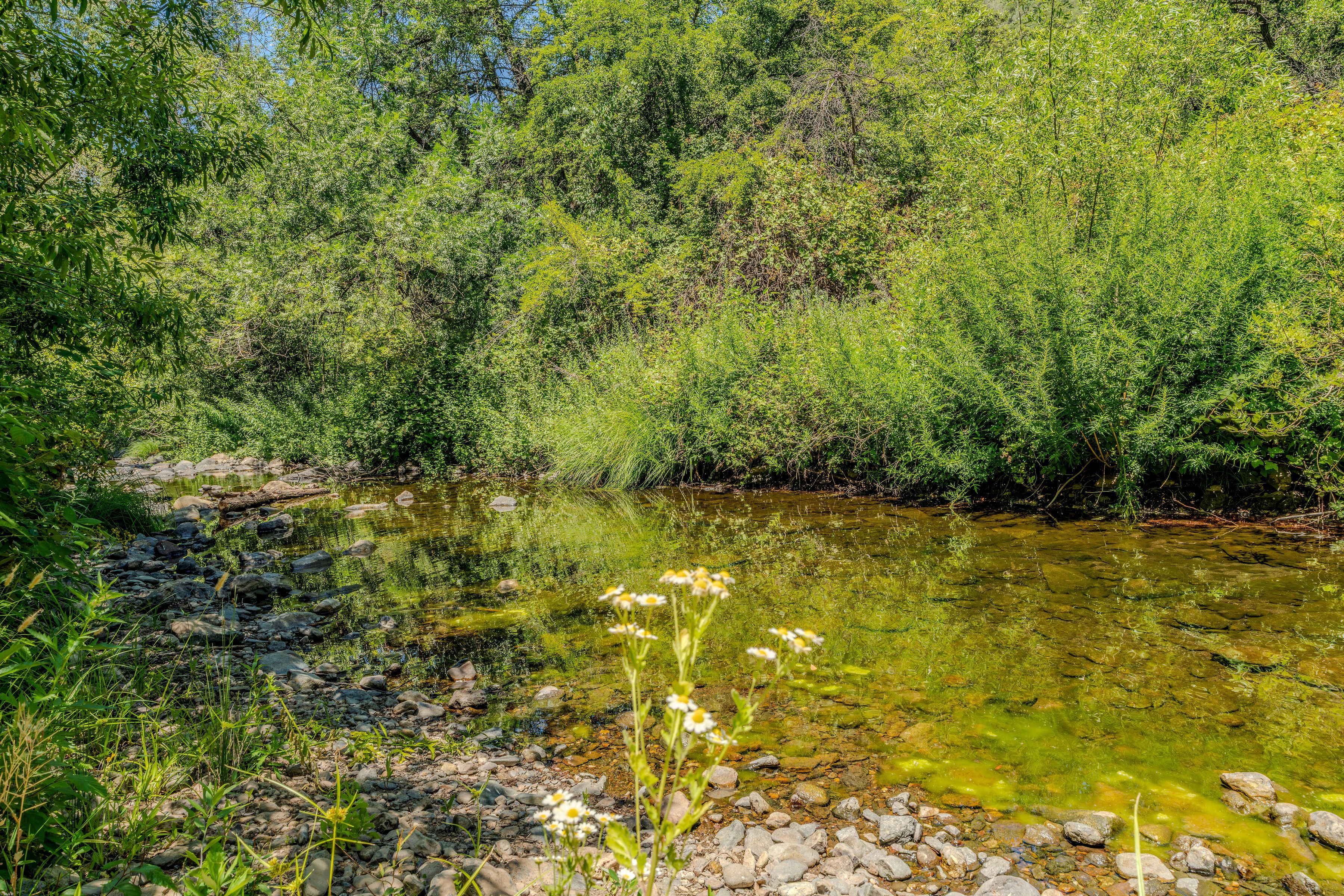  16000 Sutter Creek Road, Sutter Creek, CA 95685 - 物件實景