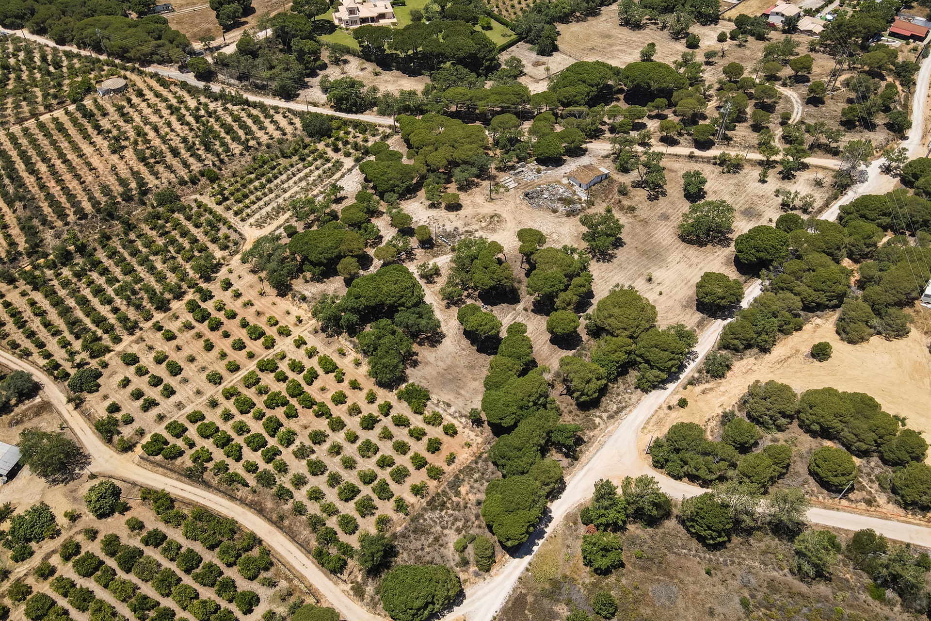  Stand, 25 bedrooms, for Sale - 物件實景