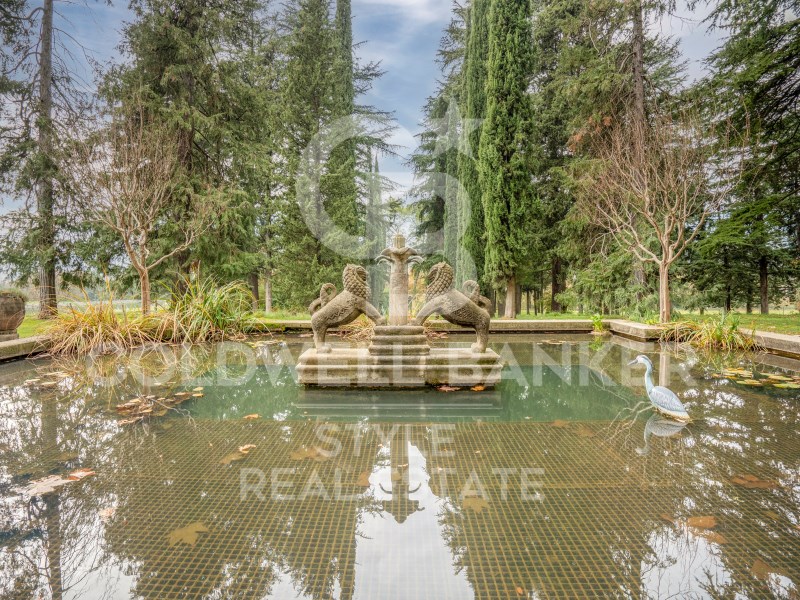 Barcelona, Torell?, Torell? Barcelona, Torell?, To, Torelló, Catalonia, ES, 13 Bedrooms Bedrooms, ,4 BathroomsBathrooms,Residential,For Sale,Barcelona, Torell?, Torell? Barcelona, Torell?, To,1448809