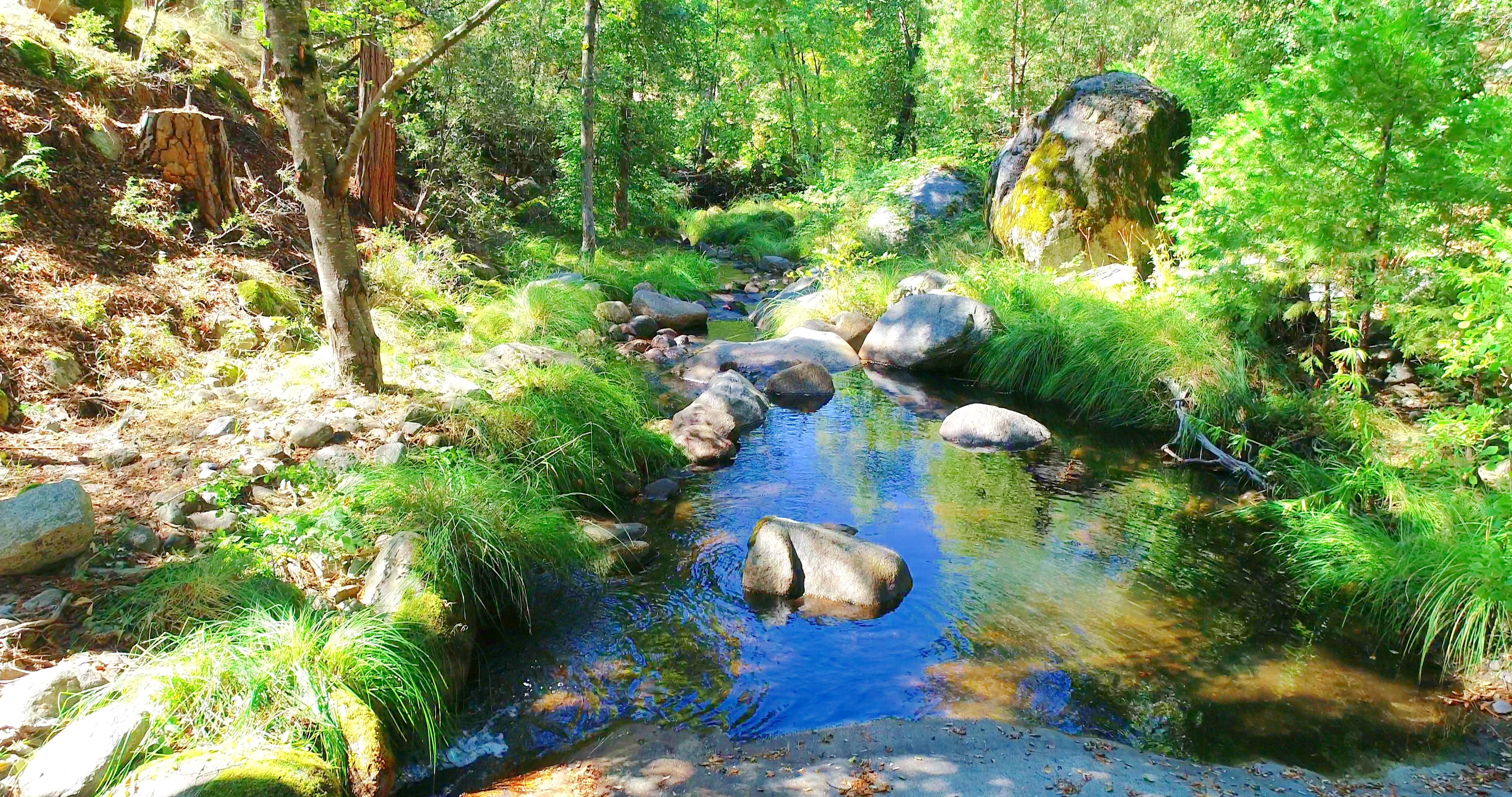 Mariposa, California, 95338, United States, 3 Bedrooms Bedrooms, ,3 BathroomsBathrooms,Residential,For Sale,1973787