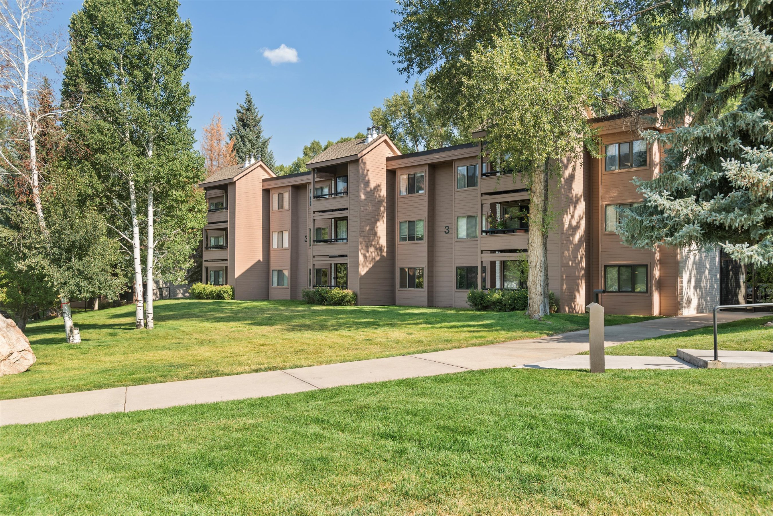  332 Vine Street, Aspen, CO, 81611 - 物件實景