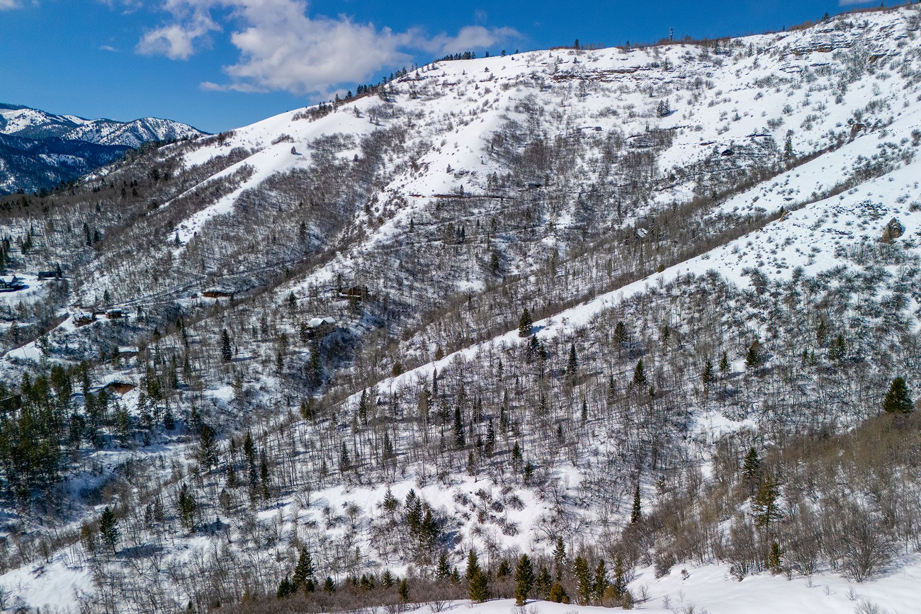  Property Overlooking the Palisades Reservoir - 物件實景