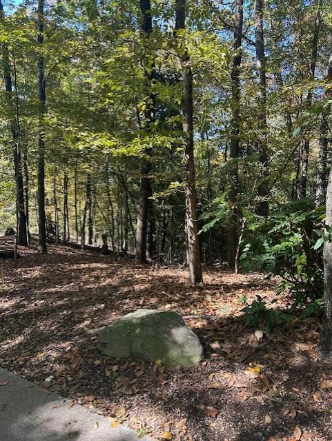 Atlanta, Georgia, 30327, United States, ,Land,For Sale,1988161