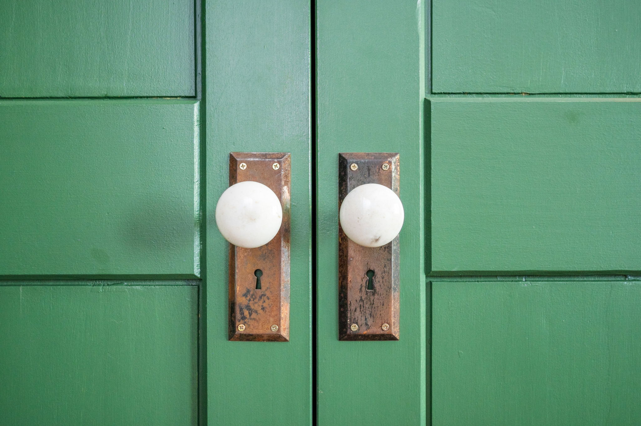  Southern Charm in Madison - 物件實景