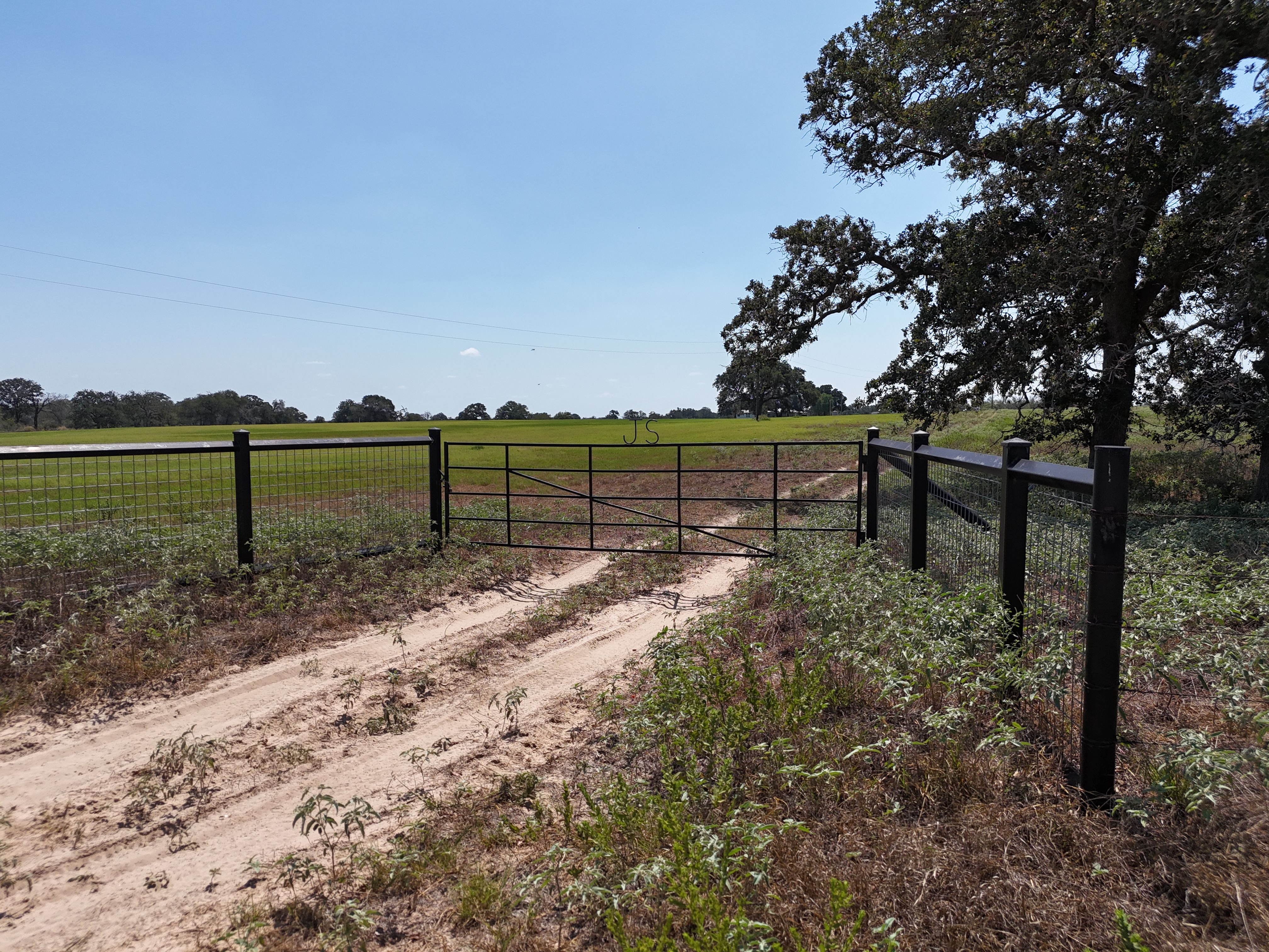  398+/- Acre Grass Pond Colony Ranch - 物件實景
