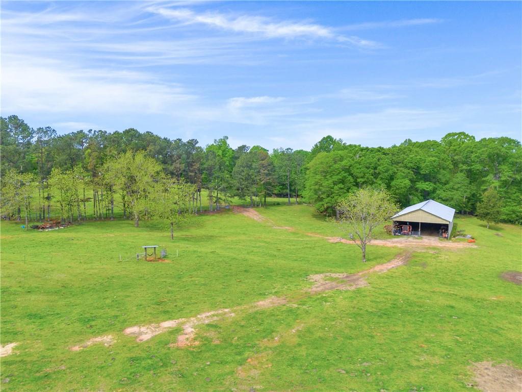 Shiloh, Georgia, 31826, United States, 3 Bedrooms Bedrooms, ,1 BathroomBathrooms,Land,For Sale,1974369