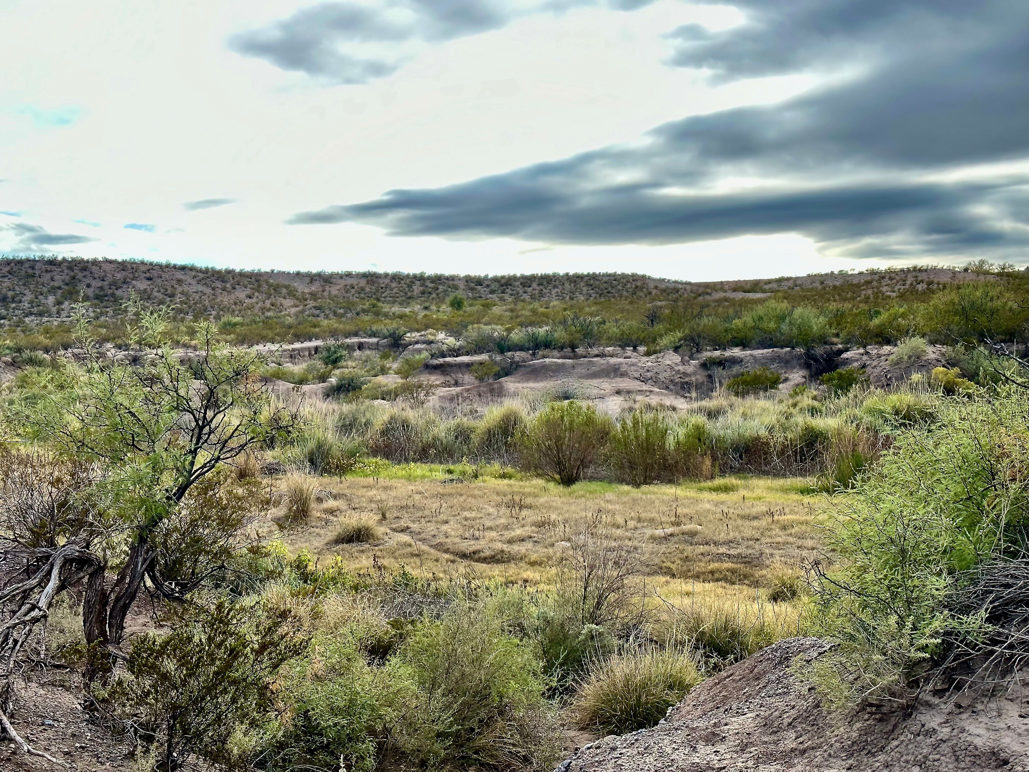  The Alamito Ranch in Presidio County - 物件實景