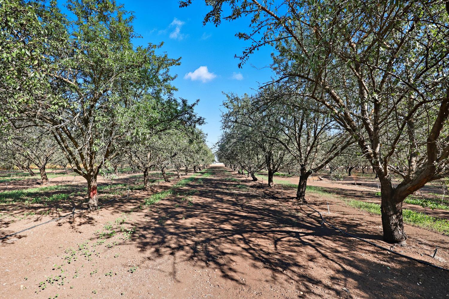 Le Grand, California, 95333, United States, 4 Bedrooms Bedrooms, ,3 BathroomsBathrooms,Residential,For Sale,1977955