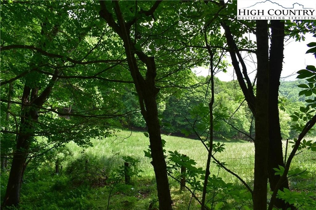 Warrensville, North Carolina, 28693, United States, ,Land,For Sale,1984173