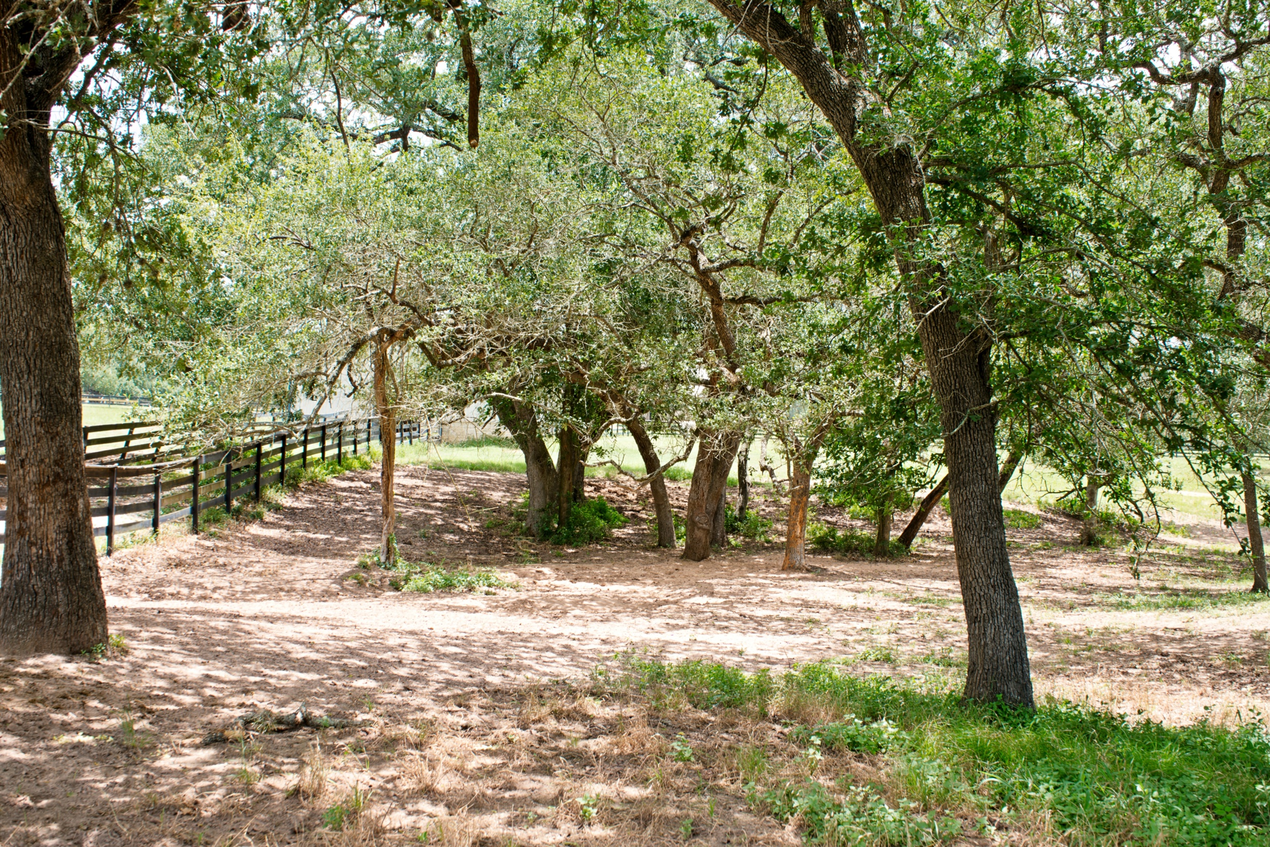  76.77 Acres, Colorado County, Weimer, TX 78962 - 物件實景