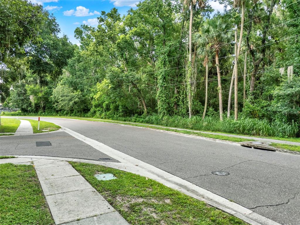 Apopka, Florida, 32712, United States, ,Land,For Sale,1891434