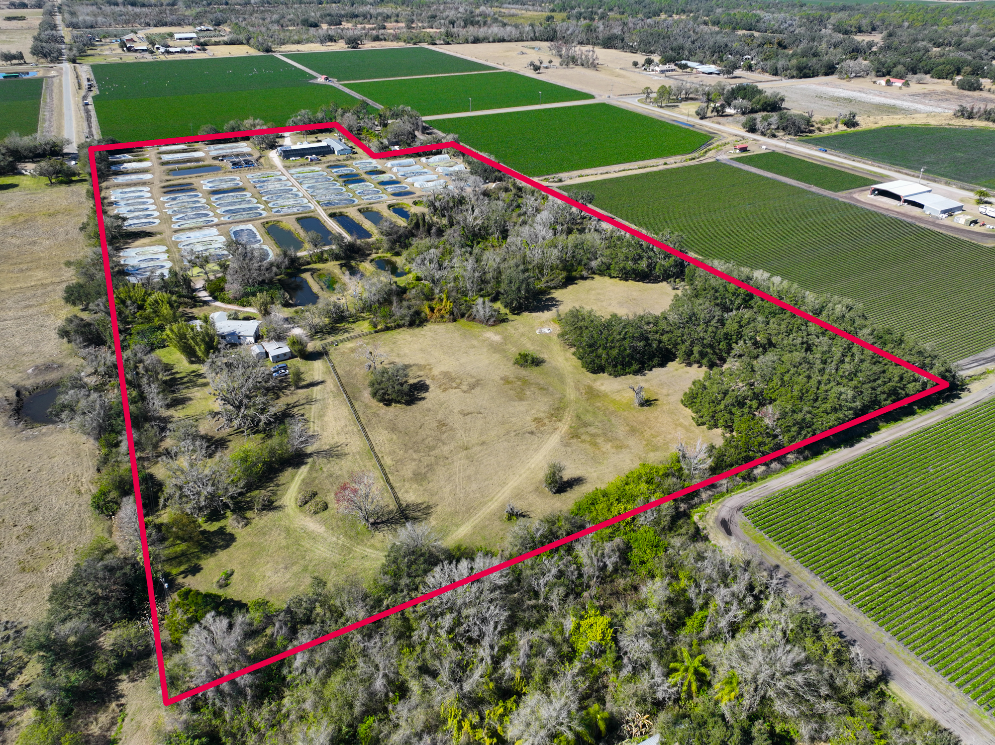 Wimauma, Florida, 33598, United States, 3 Bedrooms Bedrooms, ,2 BathroomsBathrooms,Residential,For Sale,2016610