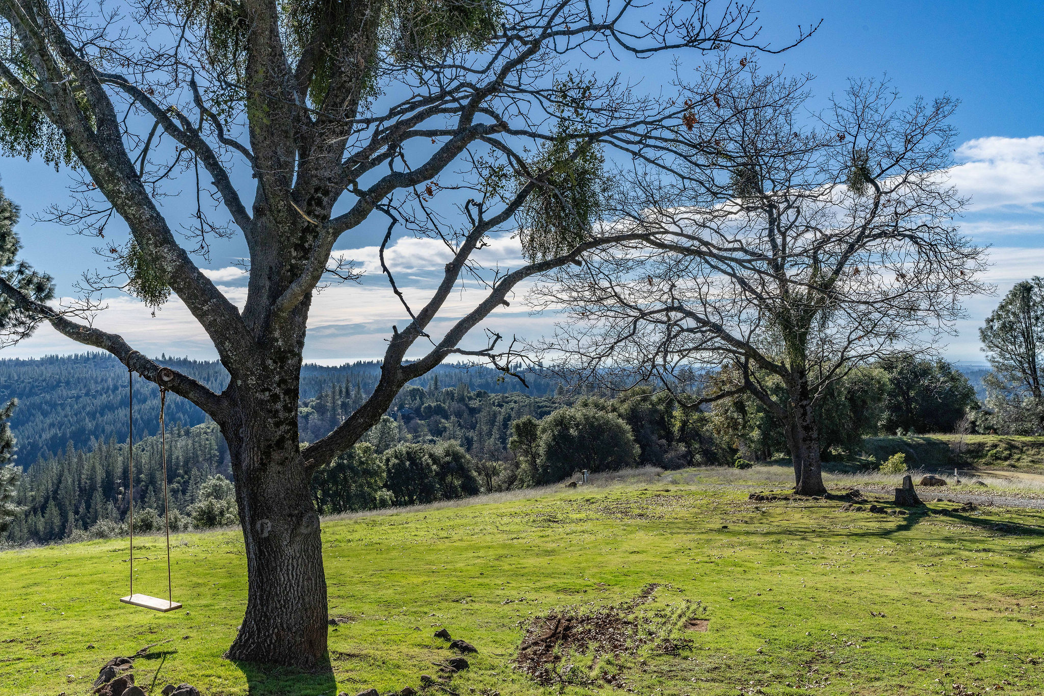18926 Shake Ridge Road, Sutter Creek, California, 95685, United States, 5 Bedrooms Bedrooms, ,5 BathroomsBathrooms,Residential,For Sale,18926 Shake Ridge Road,1540295
