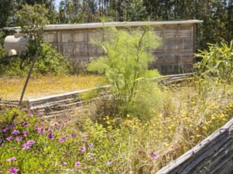 Pichilemu, Chile, 5 Bedrooms Bedrooms, ,2 BathroomsBathrooms,Residential,For Sale,1856564