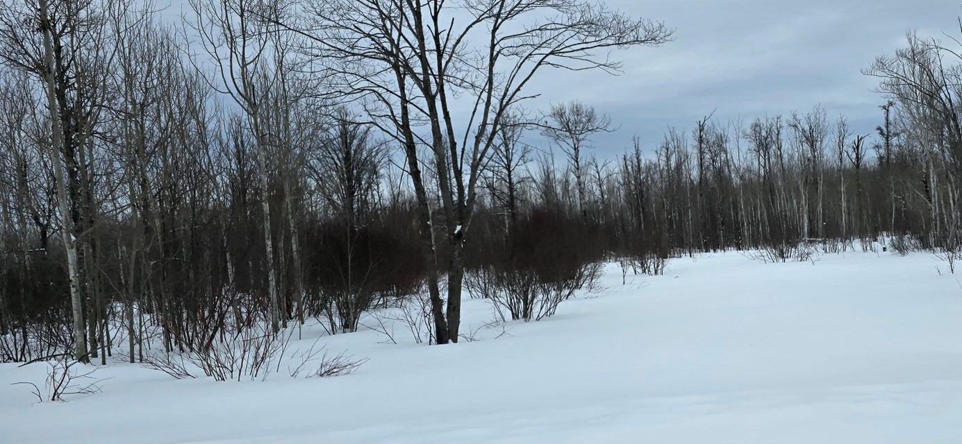 Sault Ste Marie, Michigan, 49783, United States, ,Land,For Sale,1977919