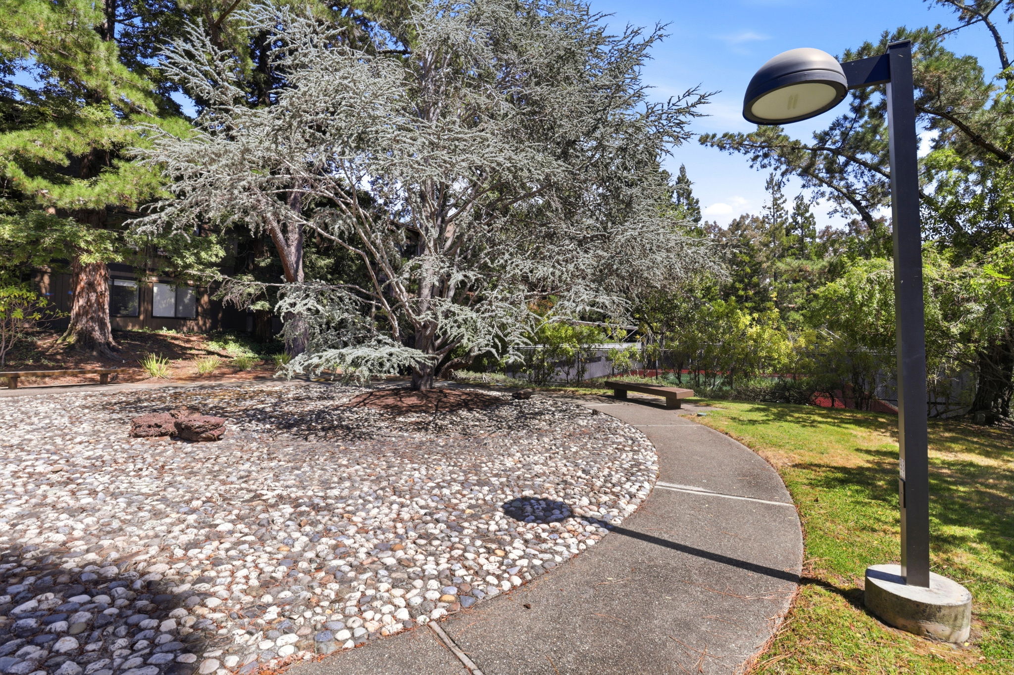  3336 Brittan Ave Unit 2 - 物件實景