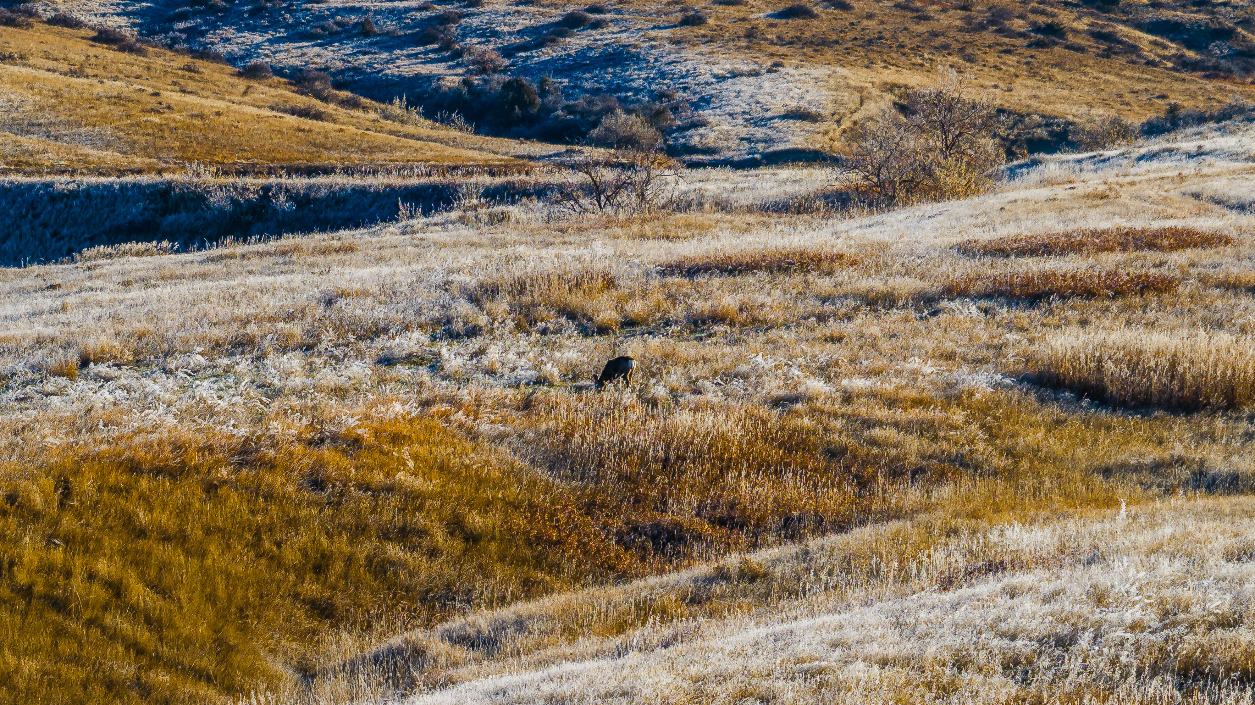 Sheridan, Wyoming, 82801, United States, ,Land,For Sale,2005822