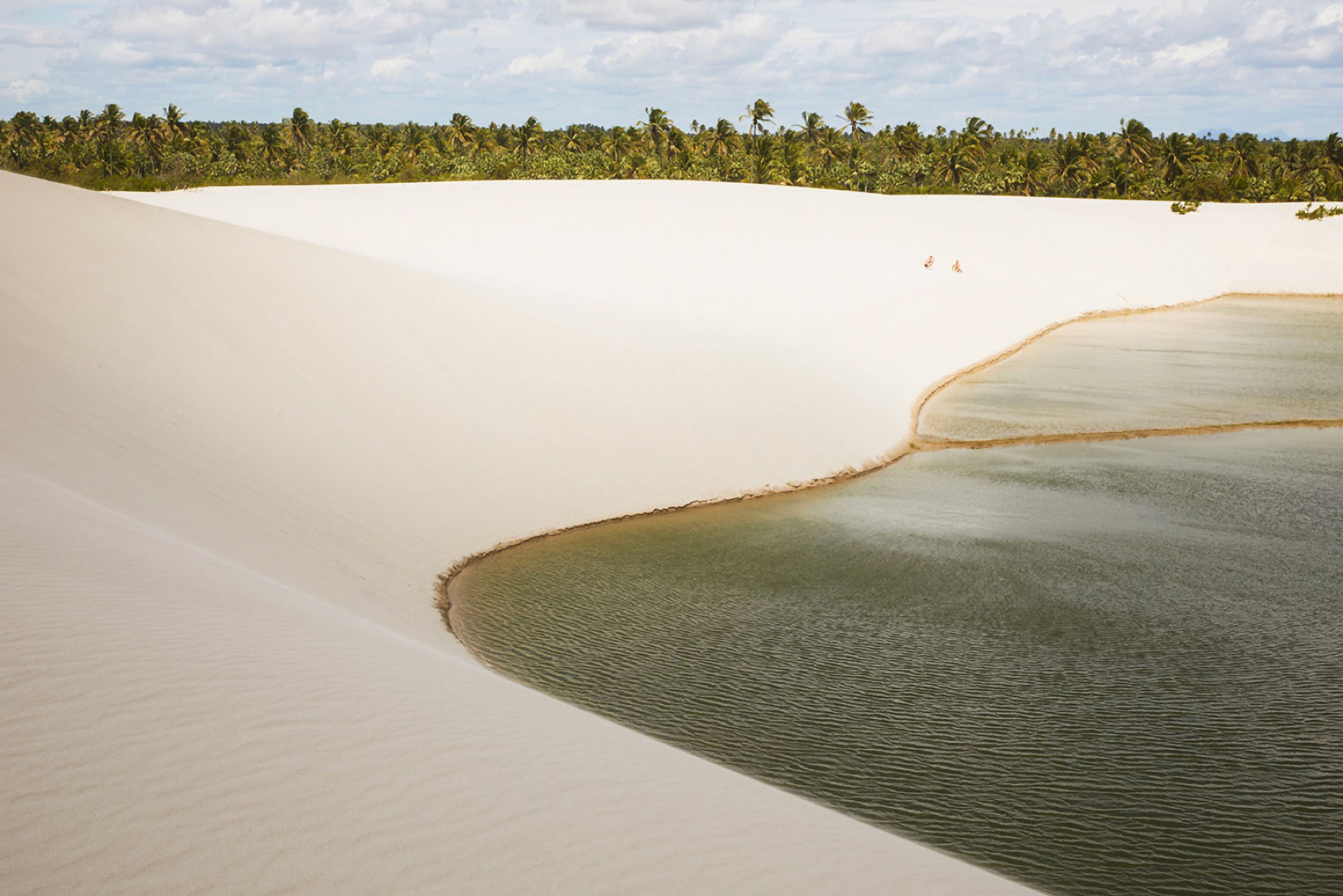  Morada Barlavento: A Retreat of Sophistication and Nature - 物件實景