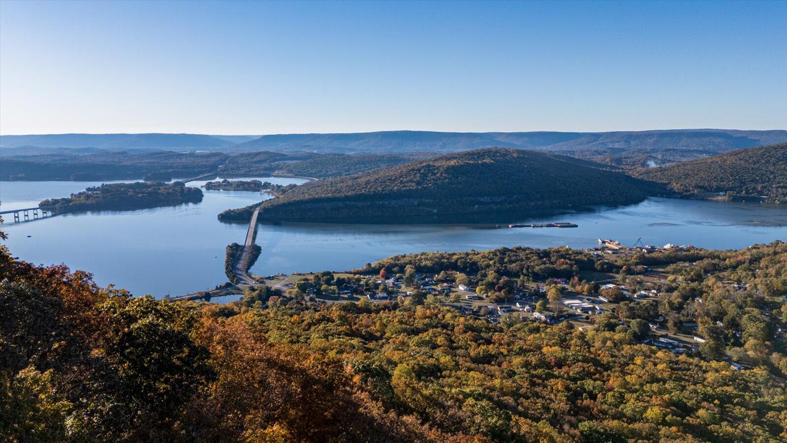 Guild, Tennessee, 37340, United States, ,Land,For Sale,1986106