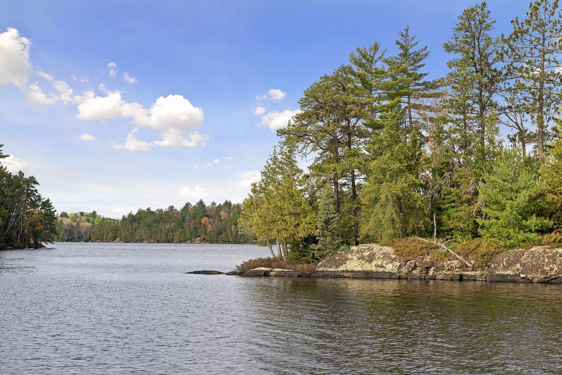 Cook, Minnesota, 55723, United States, 3 Bedrooms Bedrooms, ,1 BathroomBathrooms,Residential,For Sale,1847464