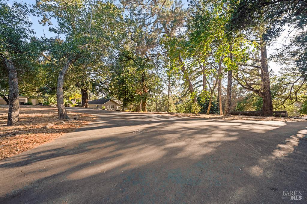 Sebastopol, California, 95472, United States, 3 Bedrooms Bedrooms, ,3 BathroomsBathrooms,Residential,For Sale,1938553