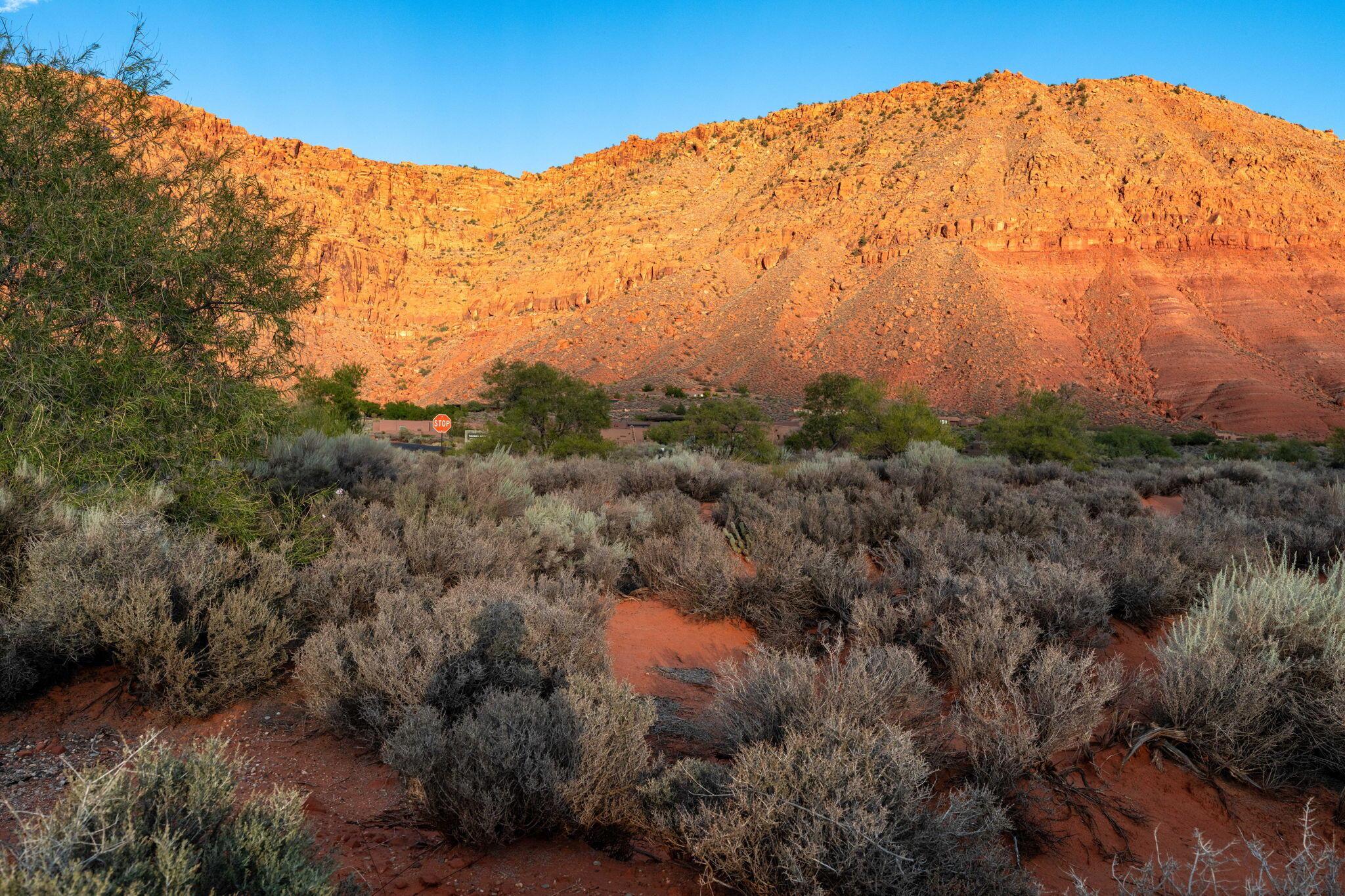 Ivins, Utah, 84738, United States, ,Residential,For Sale,1974529