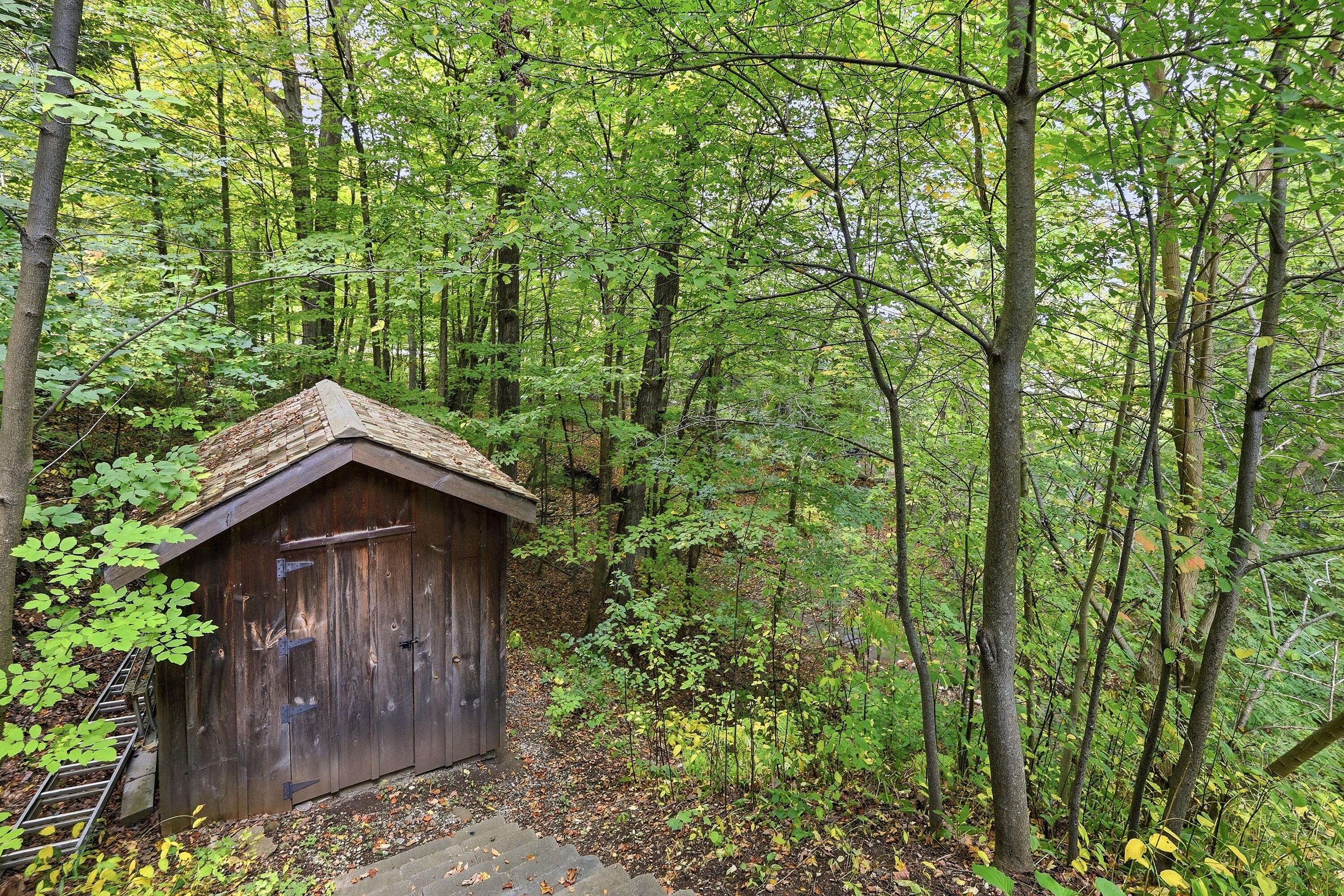  Craigleith Hillside Chalet - 物件實景