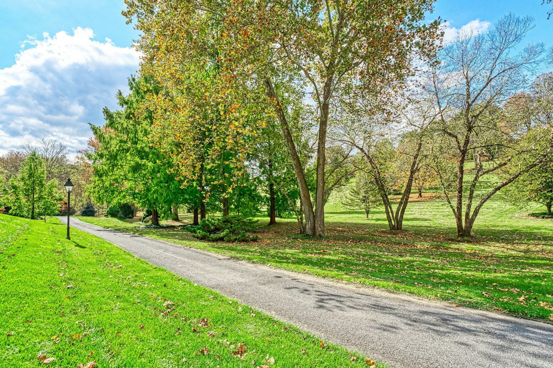  13223 Loyalty Road, Leesburg, VA 20176 - 物件實景