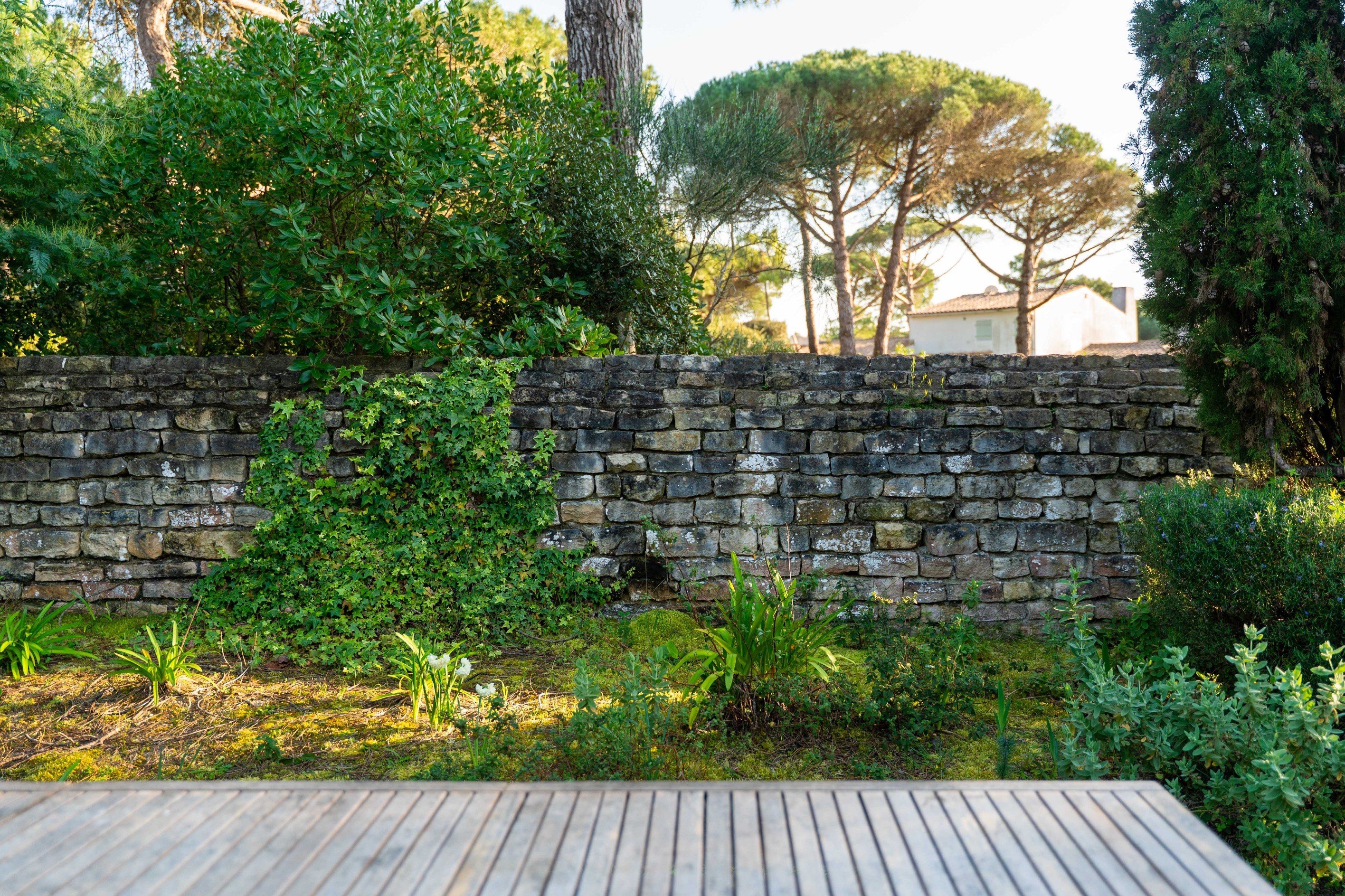  Île de Ré – Les Portes-en-Ré - Exceptional Property Nestled in a Pine Forest, J… - 物件實景