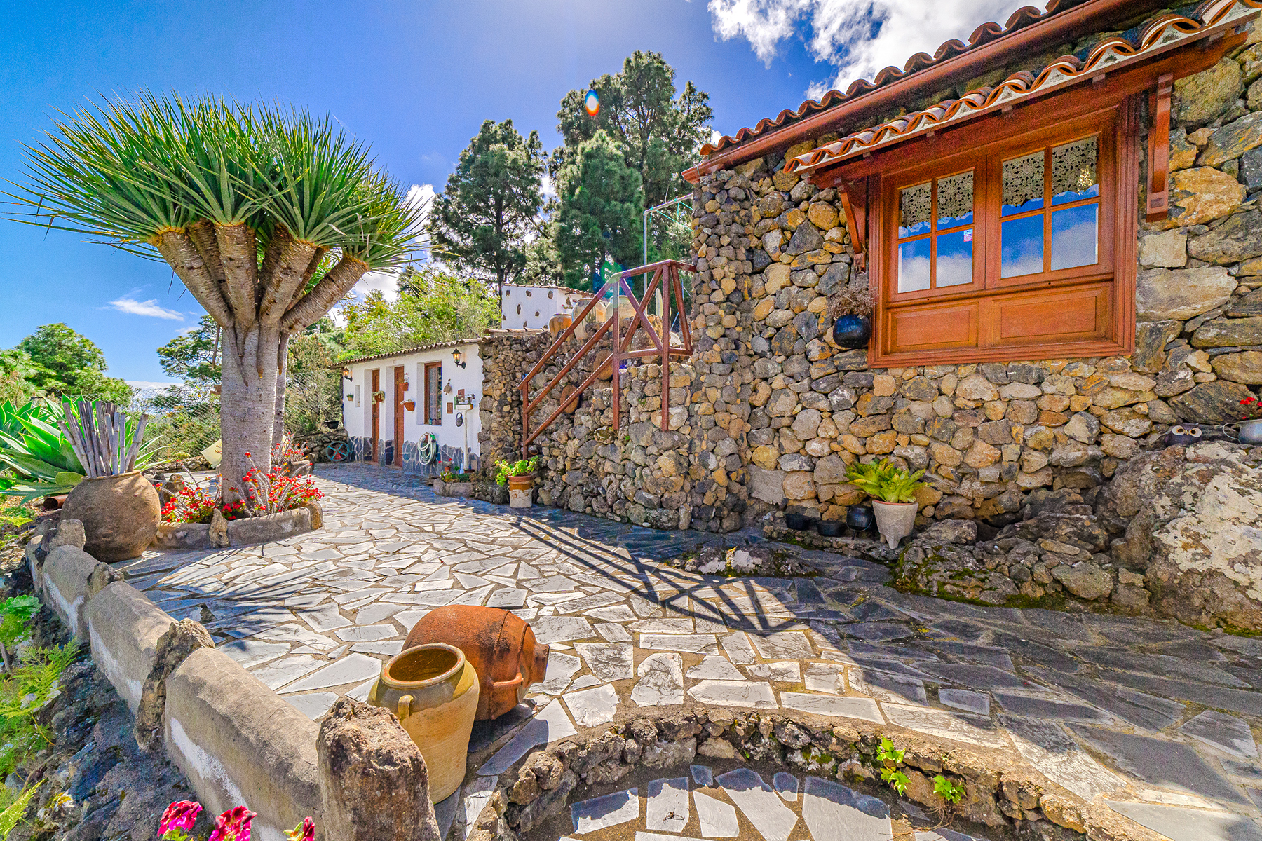  Rustic farmhouse in Icod de los Vinos, Tenerife - 物件實景