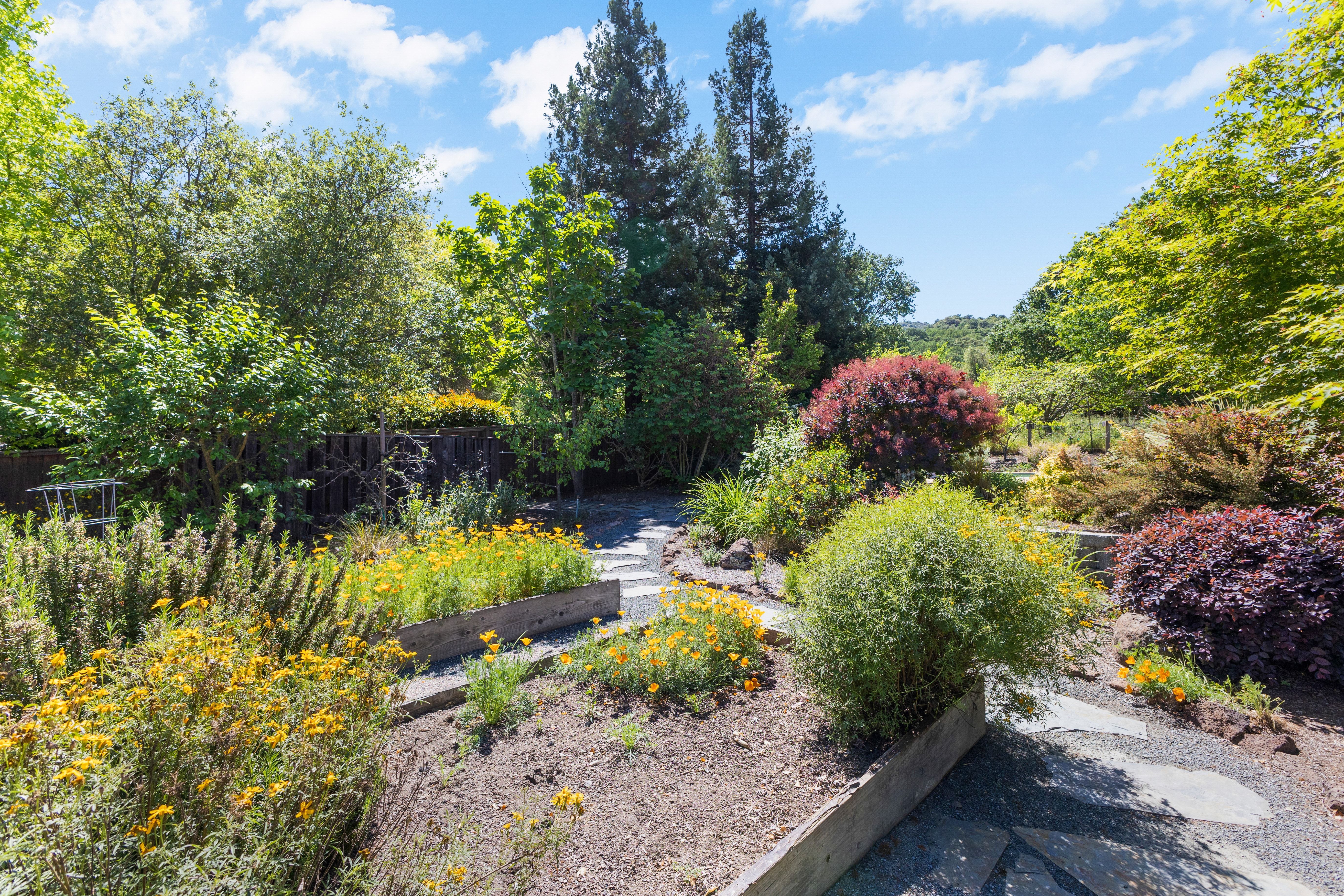  Grand Westside Danville Estate on Rare 0.60± Acre  Masterfully Reimagined - 物件實景