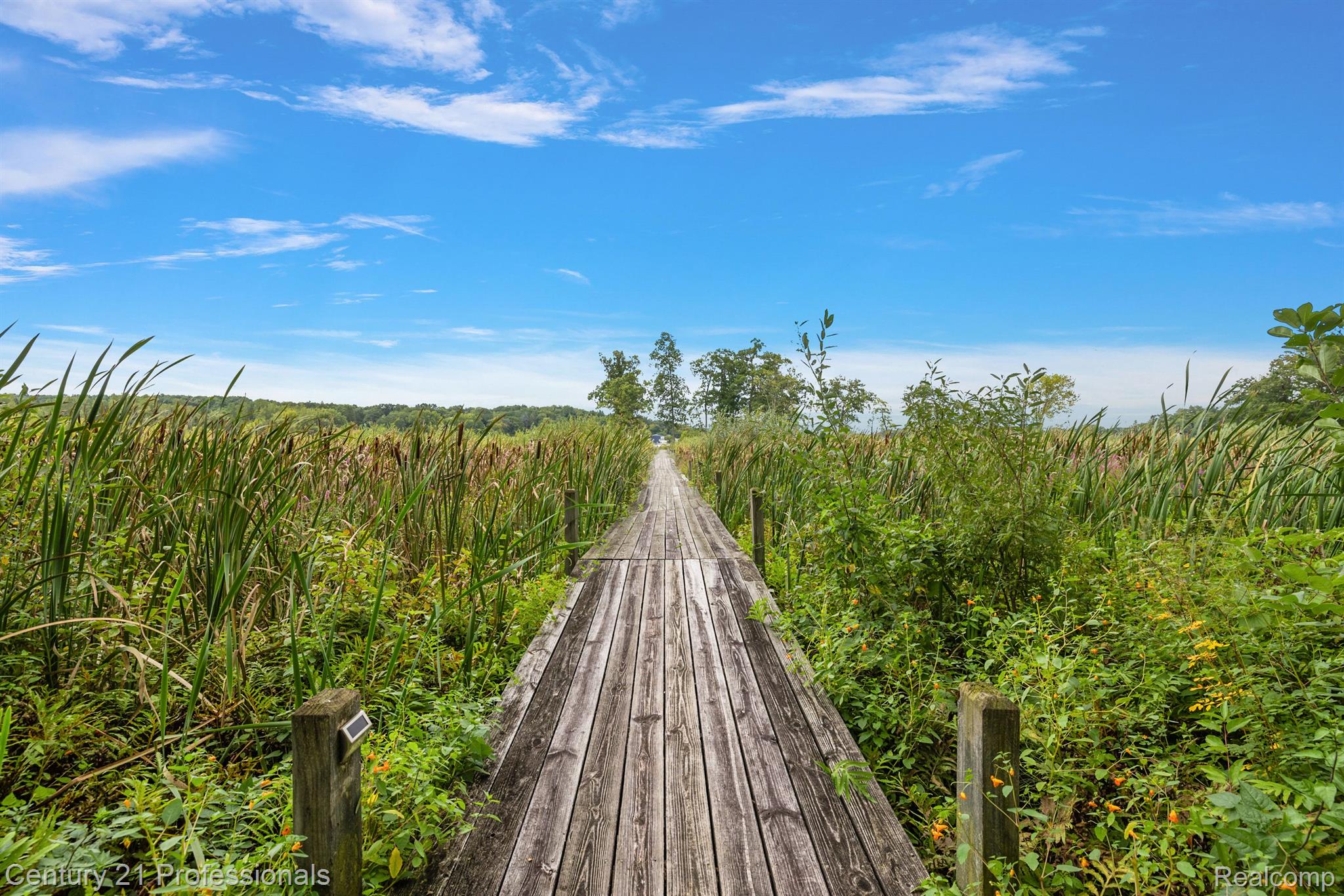 Davisburg, Michigan, 48350, United States, 5 Bedrooms Bedrooms, ,4 BathroomsBathrooms,Residential,For Sale,1978362