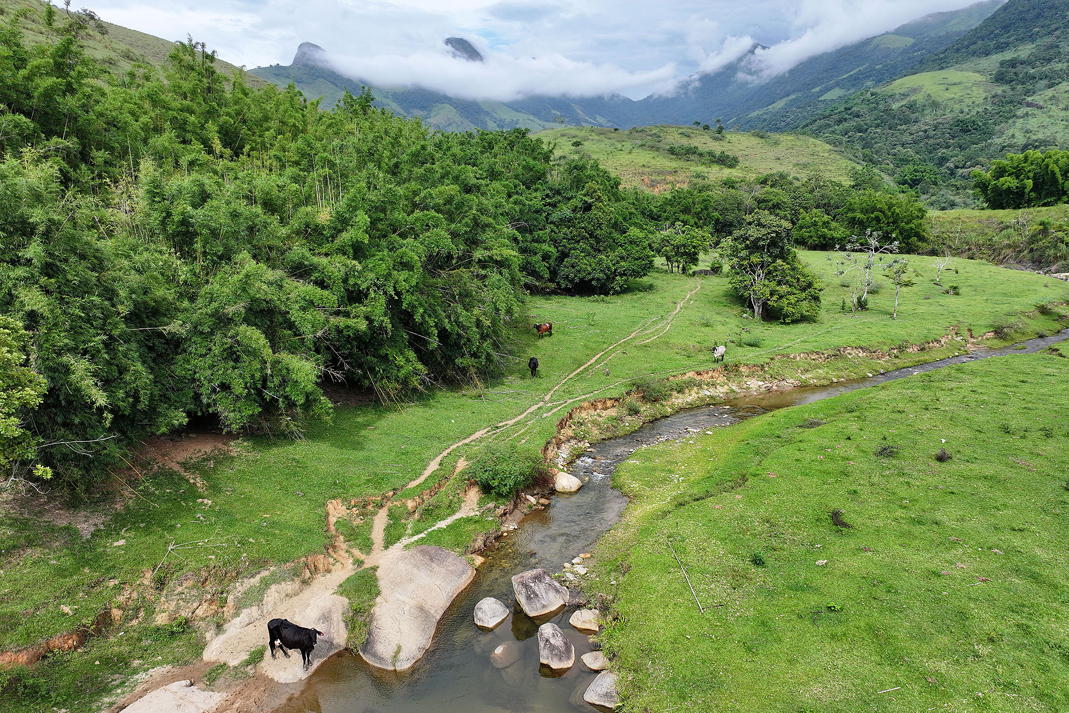  Historic estate with native forest, waterfalls, and ecotourism potential - 物件實景
