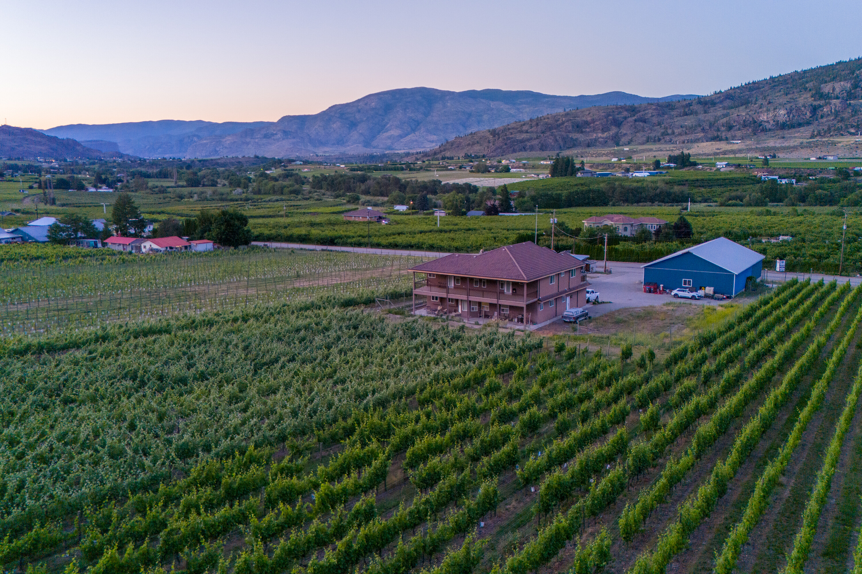  Vineyard Estate Receivership - 物件實景