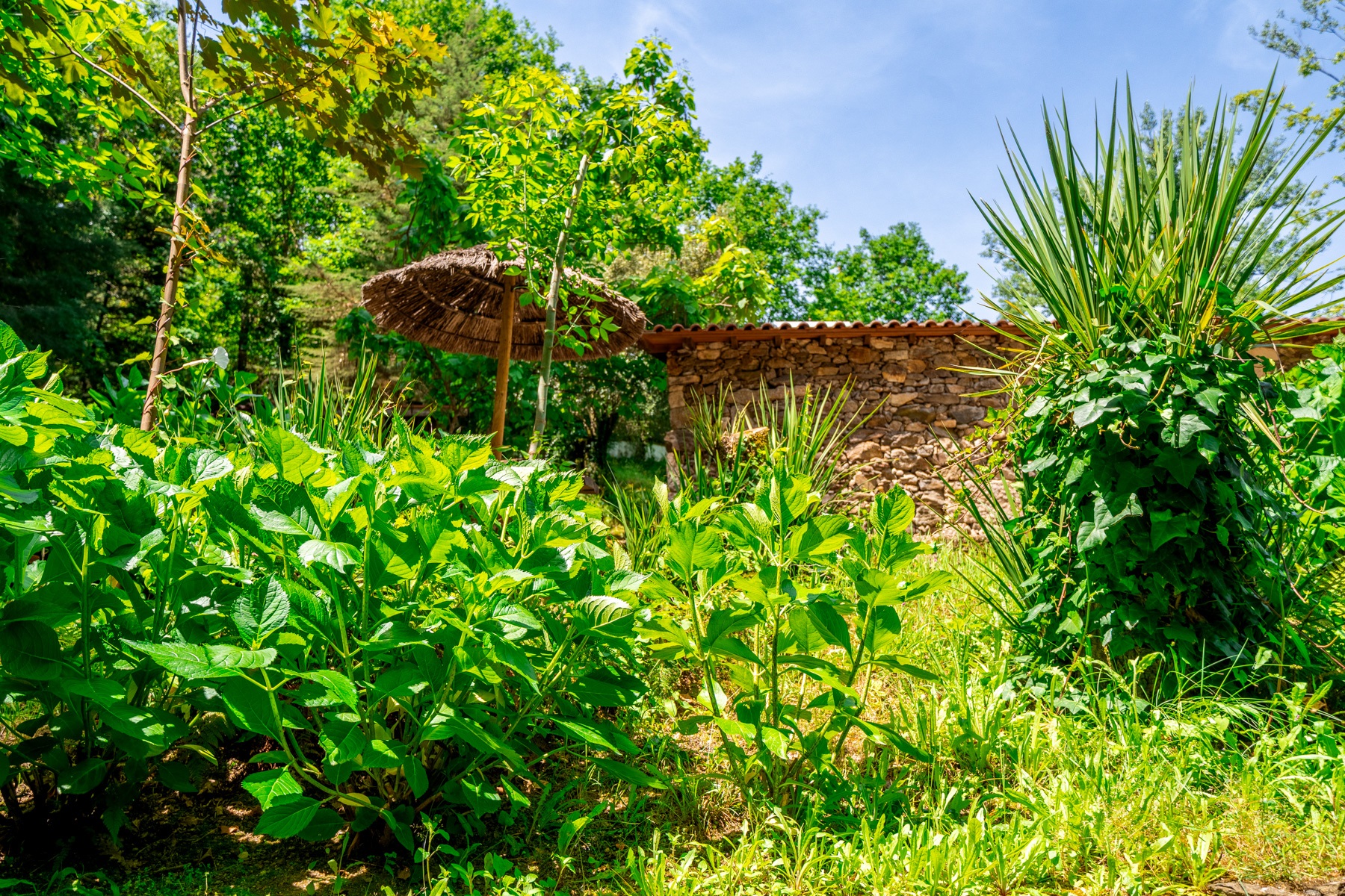  Farm, 8 bedrooms, for Sale - 物件實景