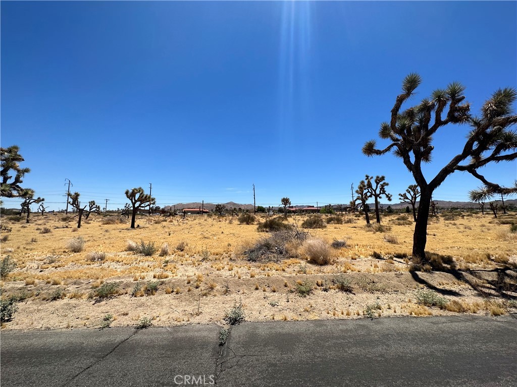 321 Twentynine Palms Highway, Yucca Valley, California, 92284, United States, ,Land,For Sale,321 Twentynine Palms Highway,1435442