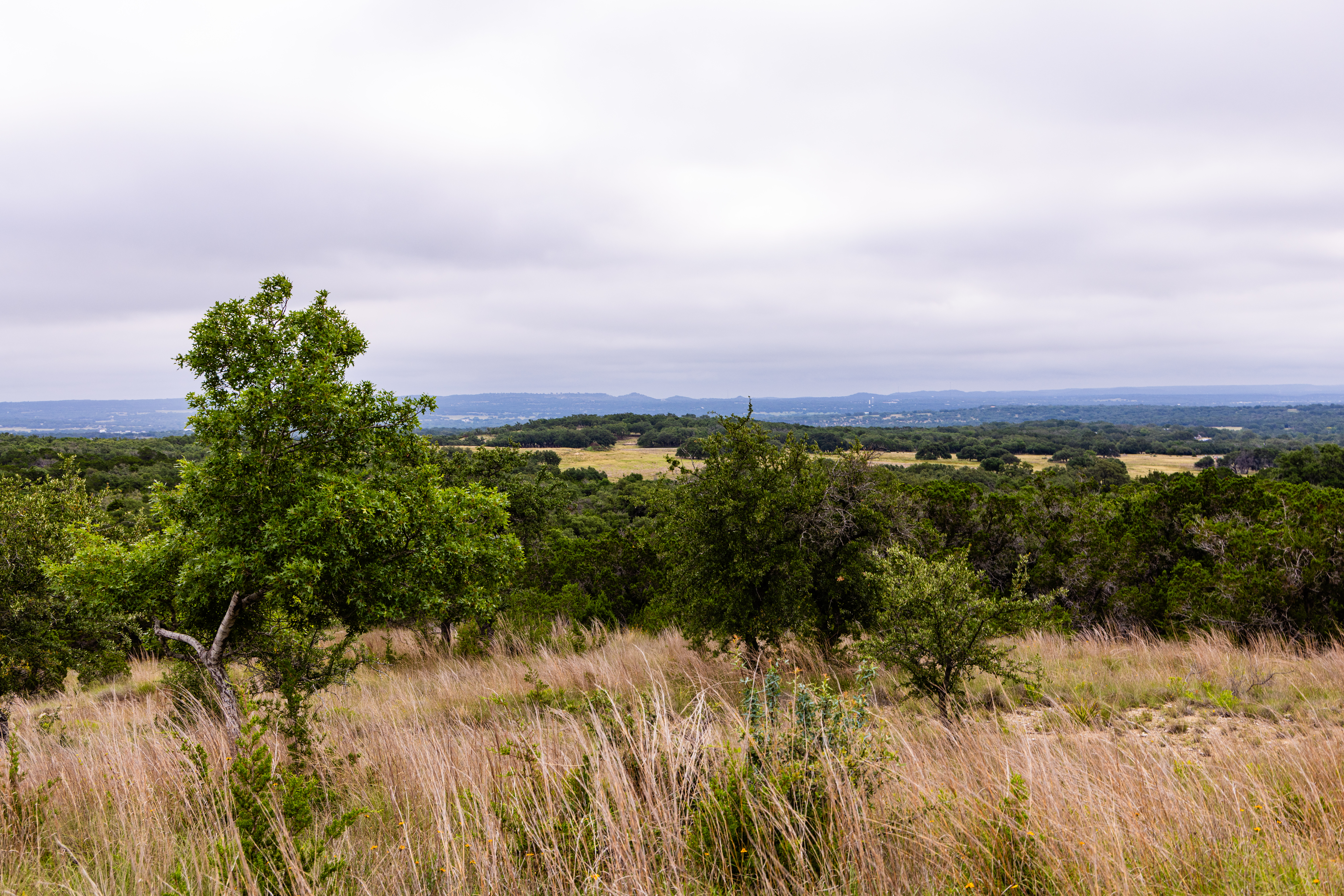  Expansive 10-Acre Lot - 物件實景