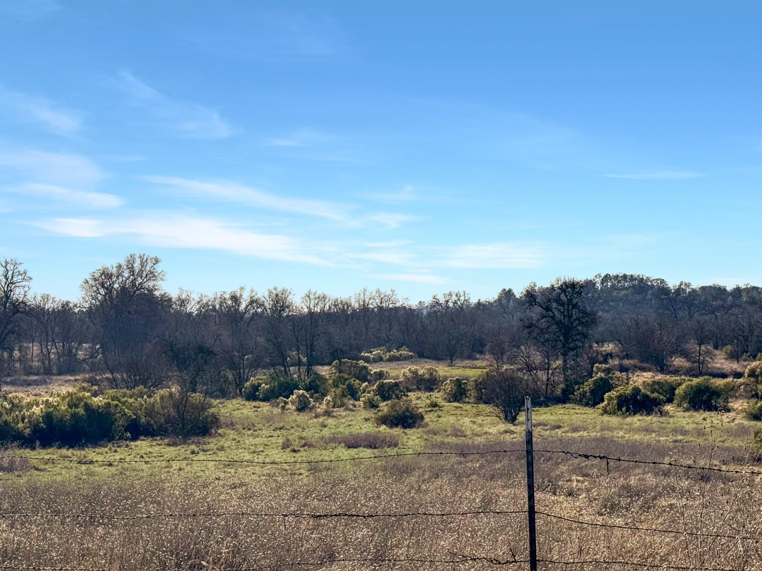 Cool, California, 95614, United States, ,Land,For Sale,1994251