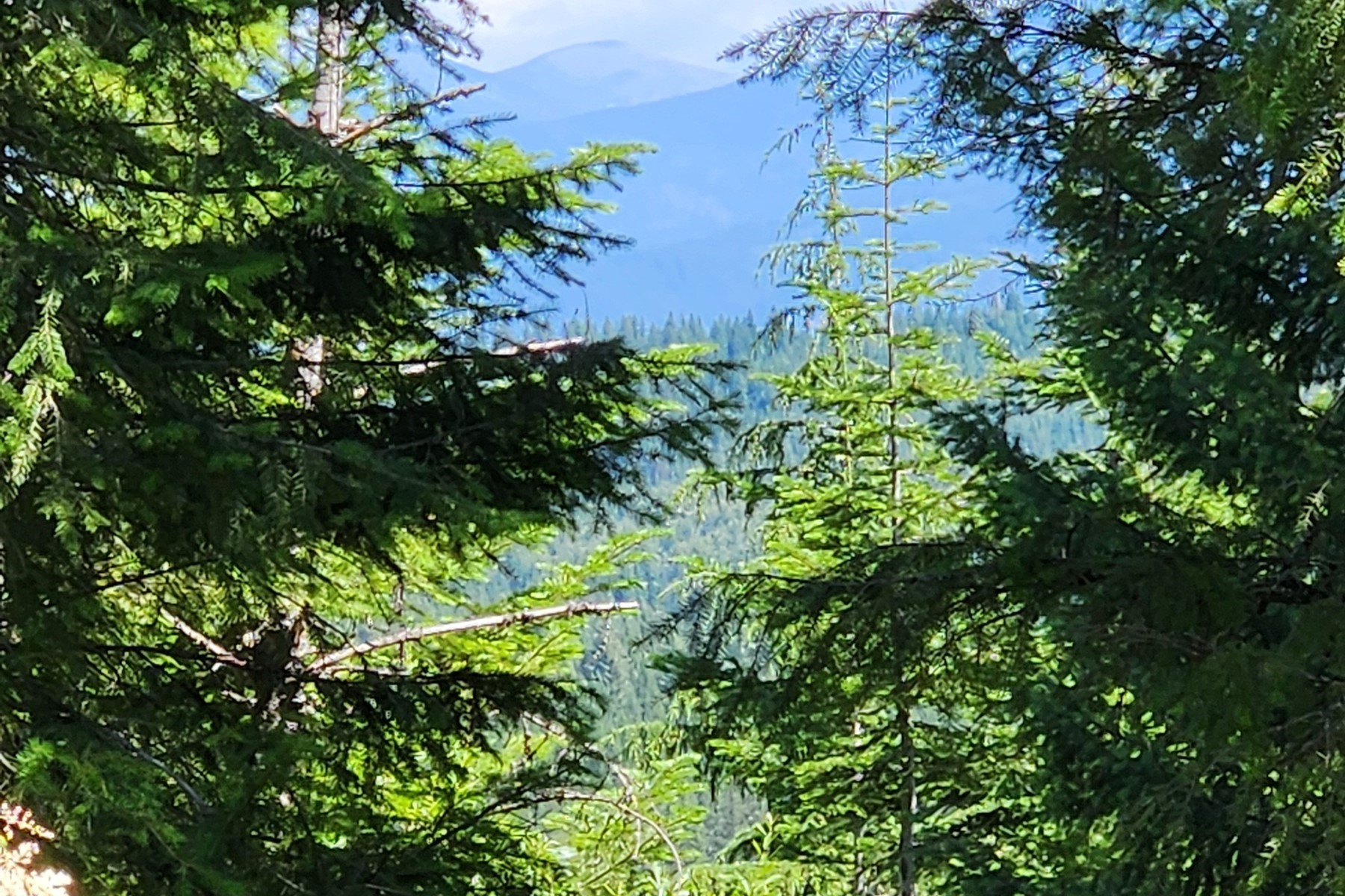 718 Slippery Slope Lot 1 Priest River - 物件實景