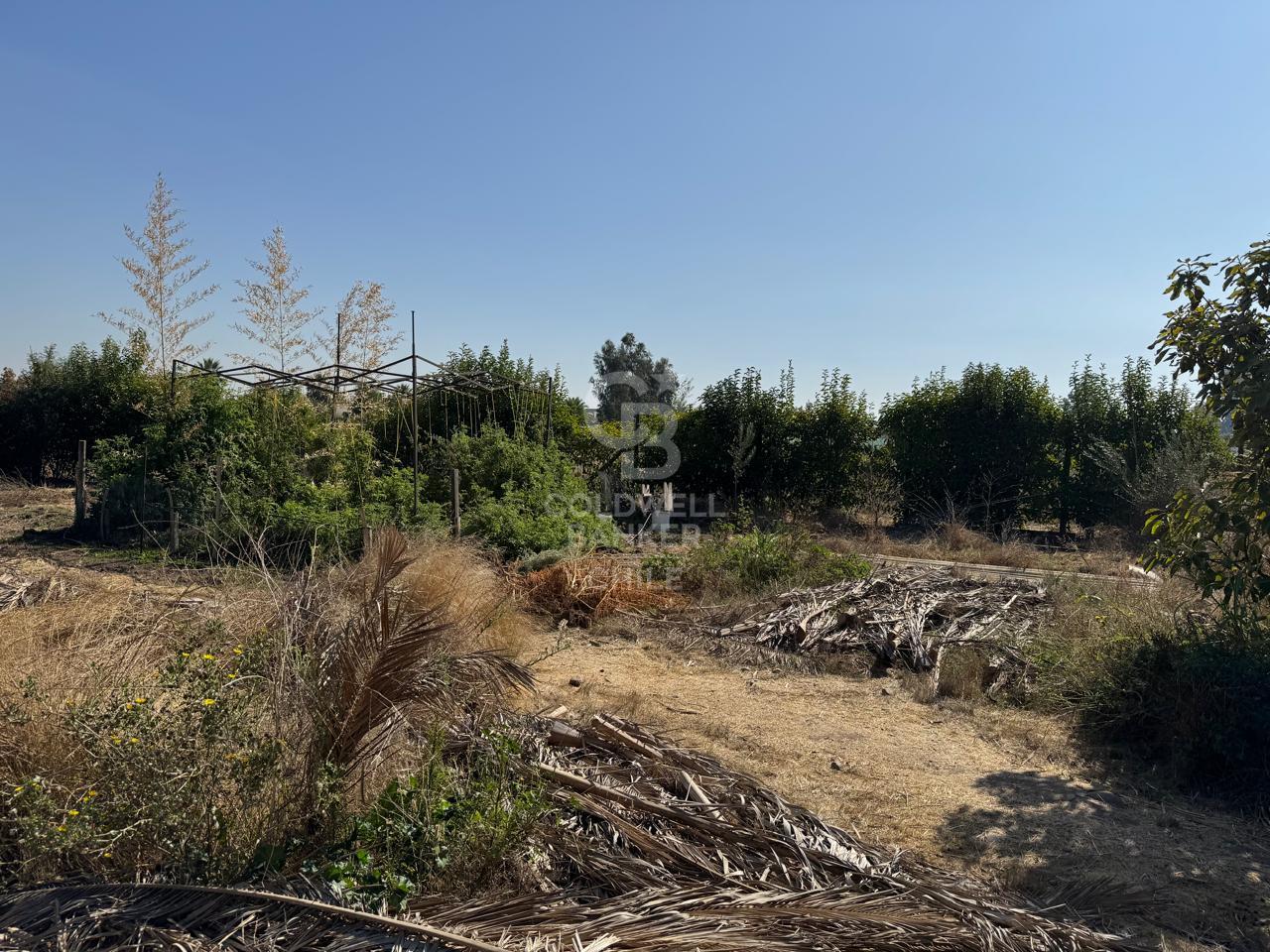 Talagante, Chile, 4 Bedrooms Bedrooms, ,2 BathroomsBathrooms,Residential,For Sale,1795499