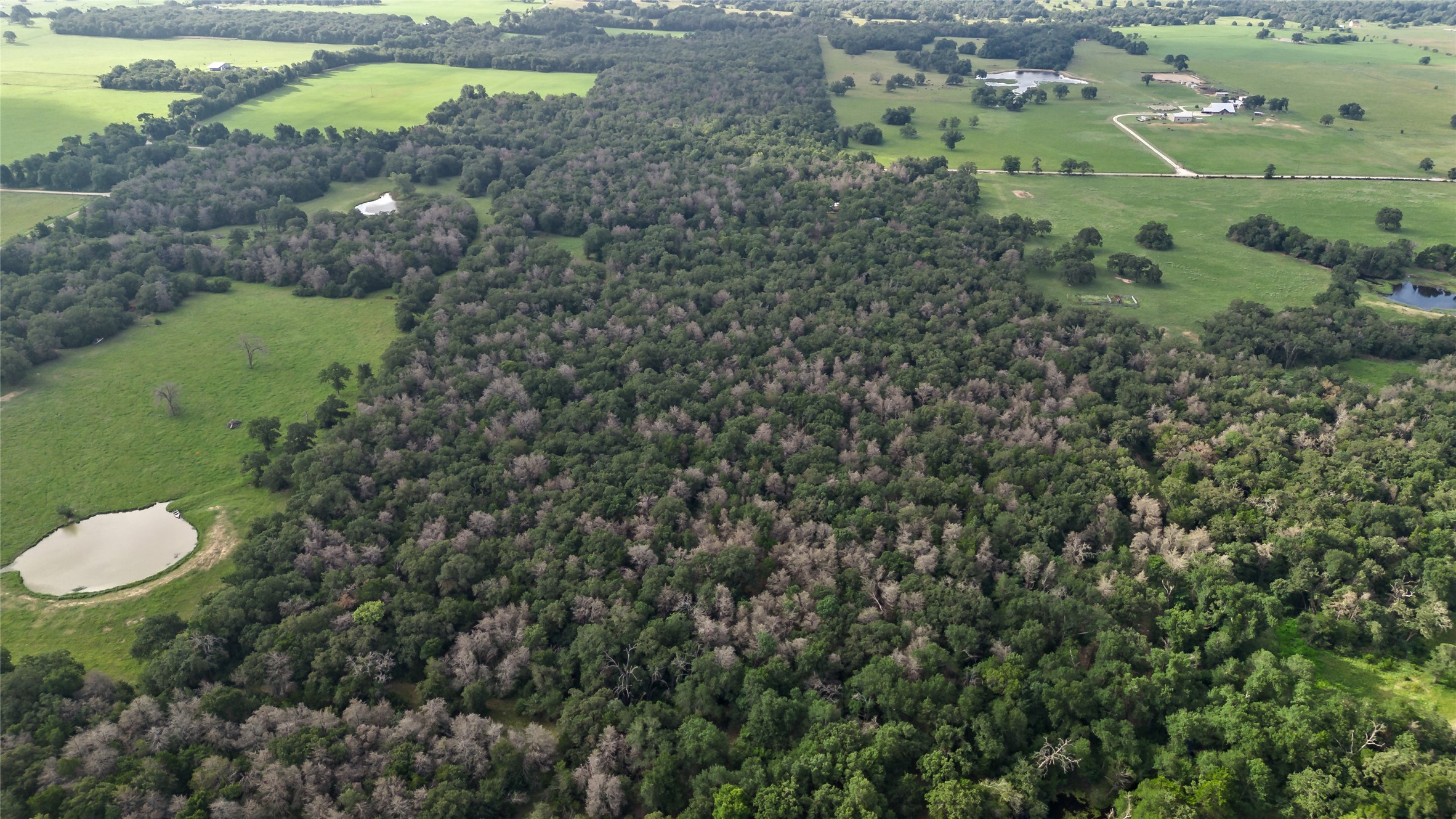 Bremond, Texas, 76629, United States, ,Land,For Sale,1986531