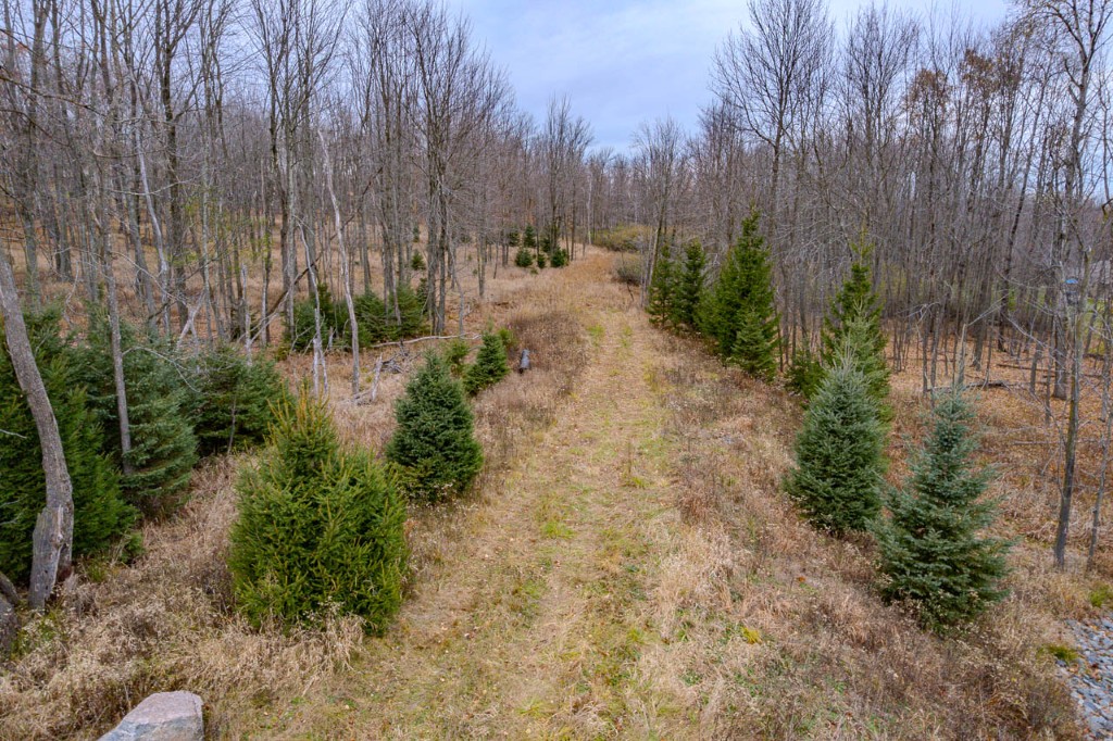 Wausau, Wisconsin, 54401, United States, ,Residential,For Sale,2001990