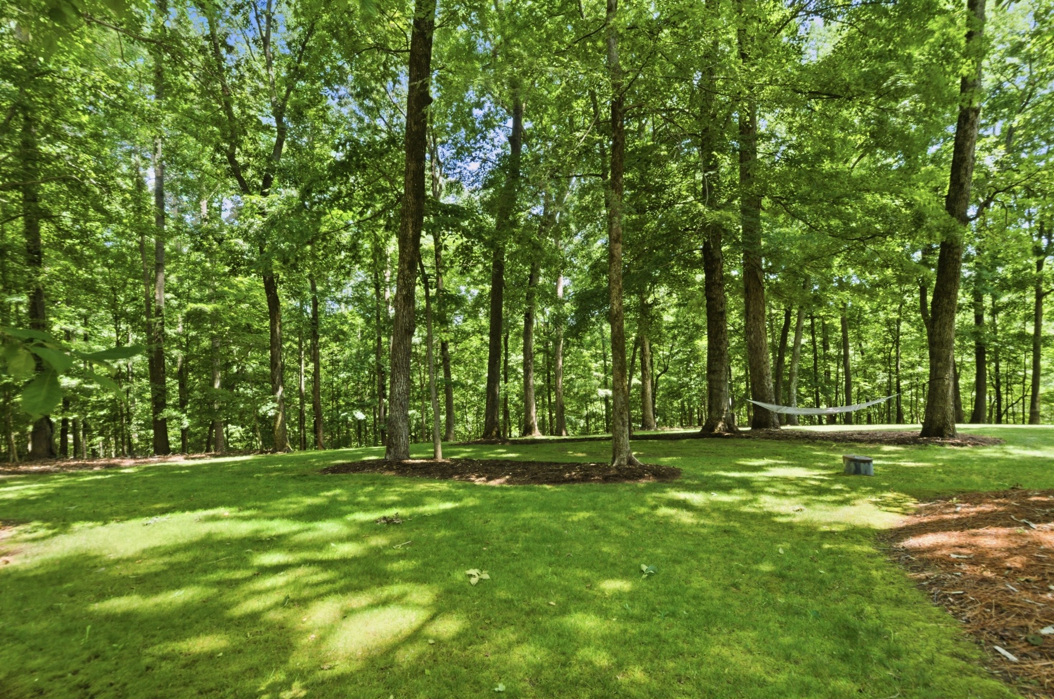  1637 Wildlife Trl, Kingston Springs, TN, 37082 - 物件實景