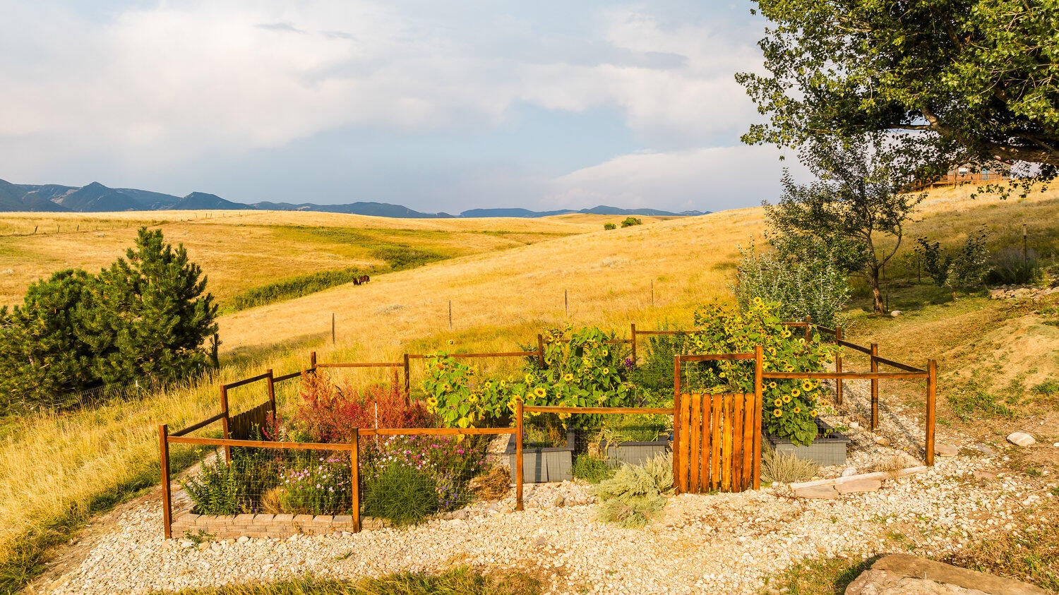 Big Horn, Wyoming, 82833, United States, 3 Bedrooms Bedrooms, ,4 BathroomsBathrooms,Residential,For Sale,1981242