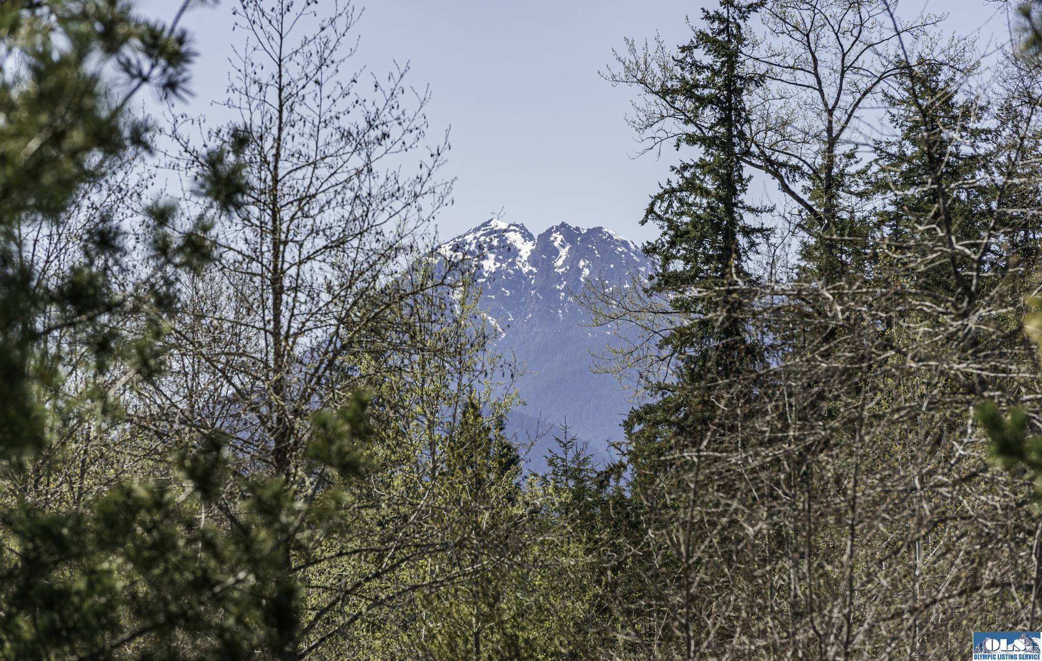 Sequim, Washington, 98382, United States, ,Land,For Sale,1787569