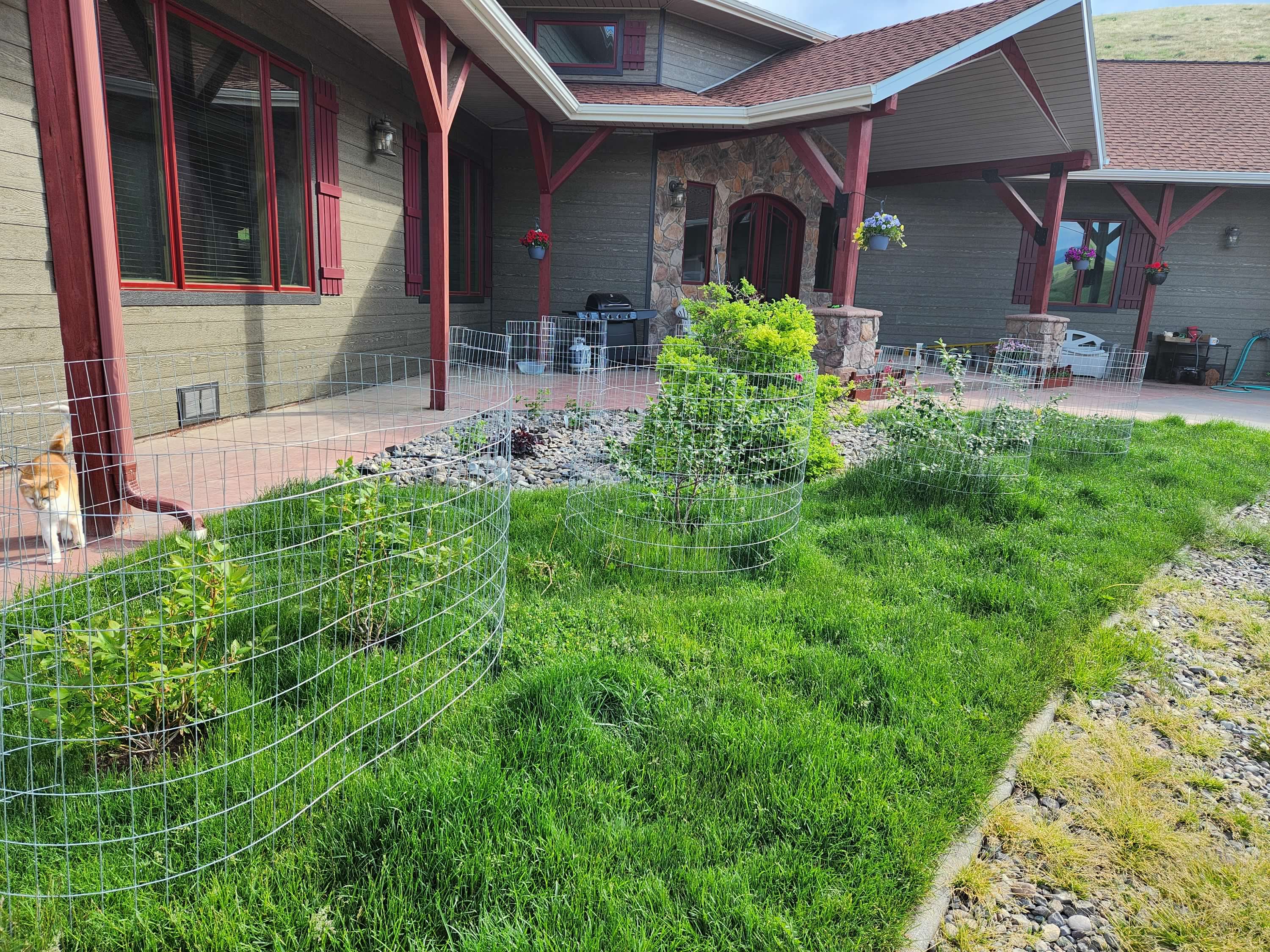 Plains, Montana, 59859, United States, 4 Bedrooms Bedrooms, ,6 BathroomsBathrooms,Residential,For Sale,1894309