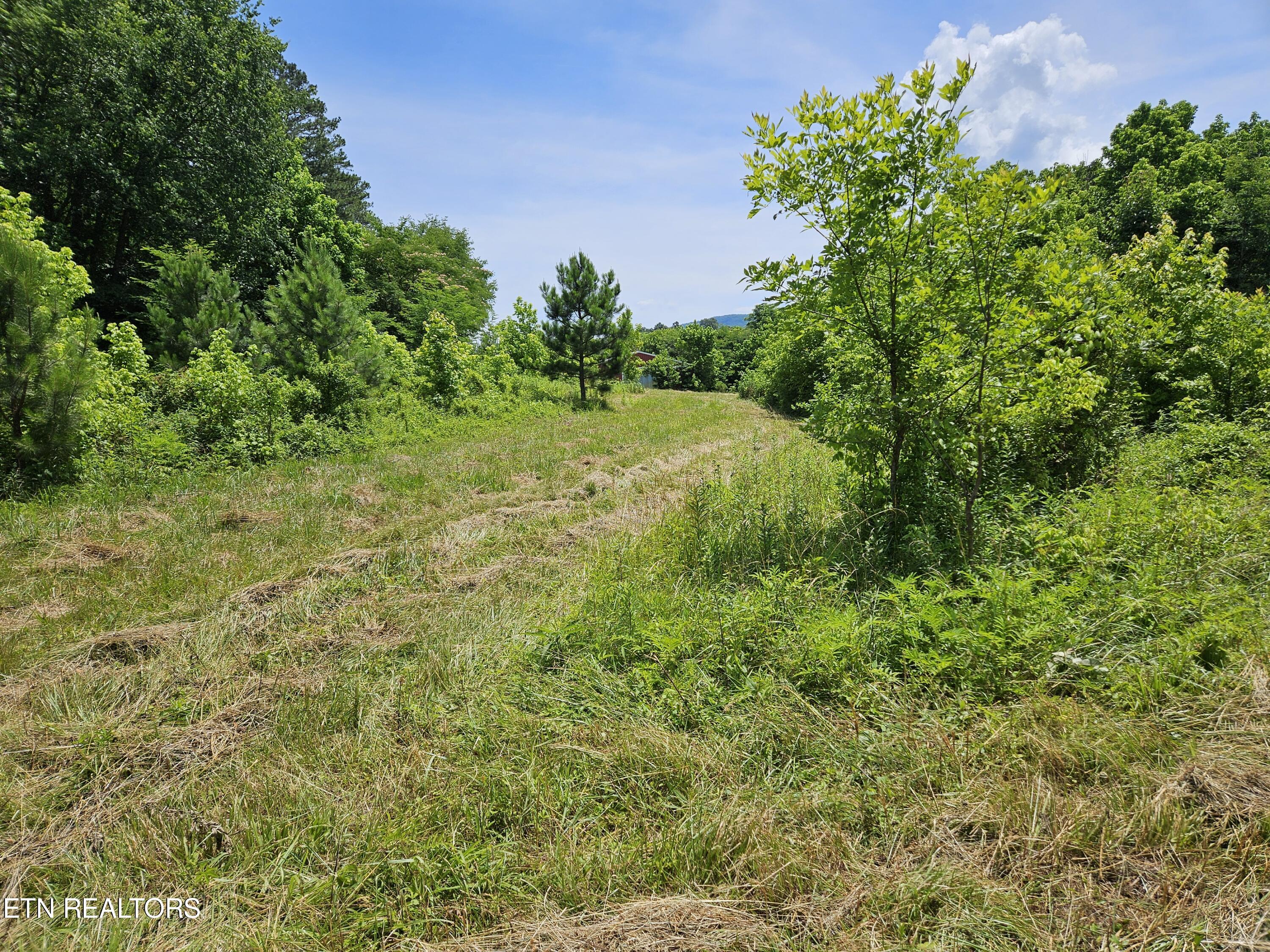 Maryville, Tennessee, 37803, United States, ,Land,For Sale,1976911
