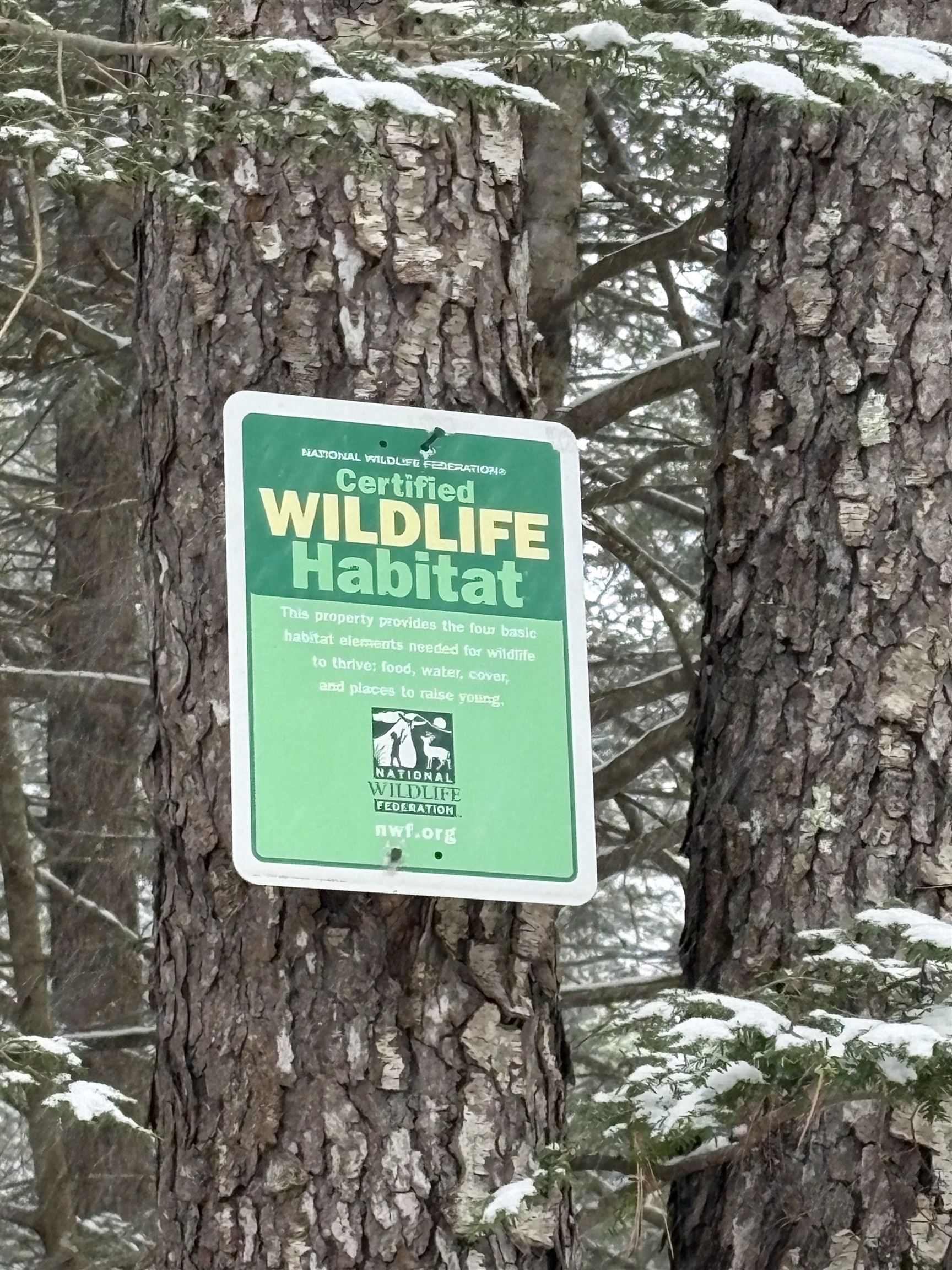 Winchester, New Hampshire, 03470, United States, 3 Bedrooms Bedrooms, ,2 BathroomsBathrooms,Residential,For Sale,2001940