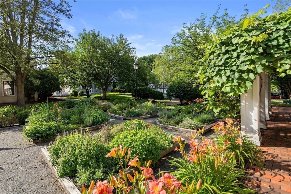 Cambridge, Massachusetts, 02138, United States, 1 Bedroom Bedrooms, ,1 BathroomBathrooms,Residential,For Sale,1883124