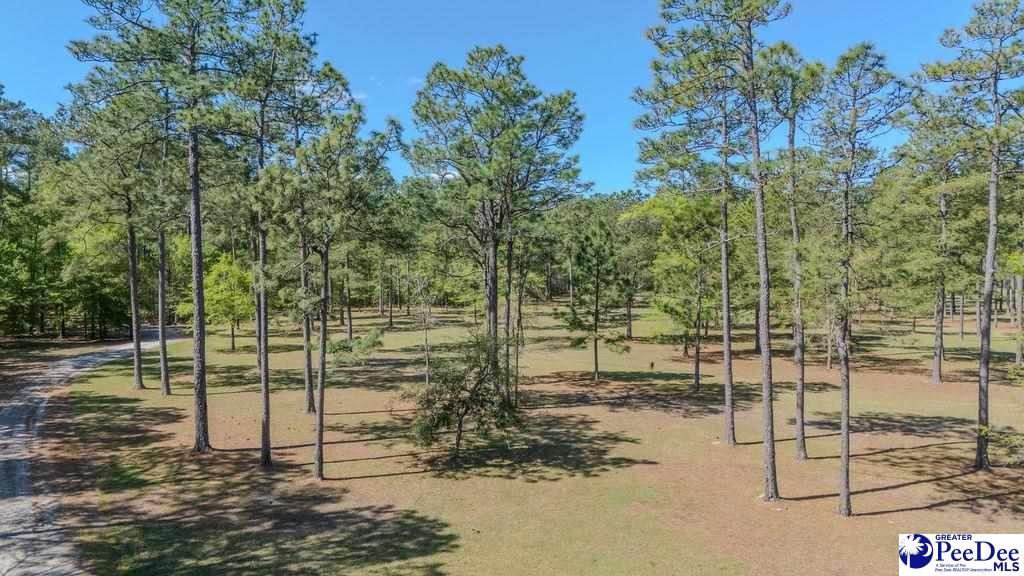 1315 Hill Harrell Road, Effingham, South Carolina, 29541-3179, United States, ,Land,For Sale,1315 Hill Harrell Road,1501598